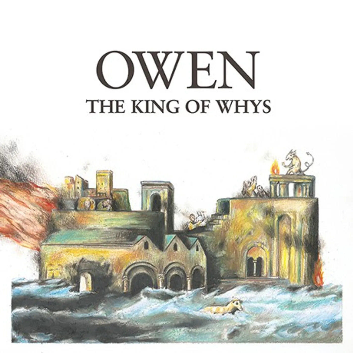 Owen The King of Whys