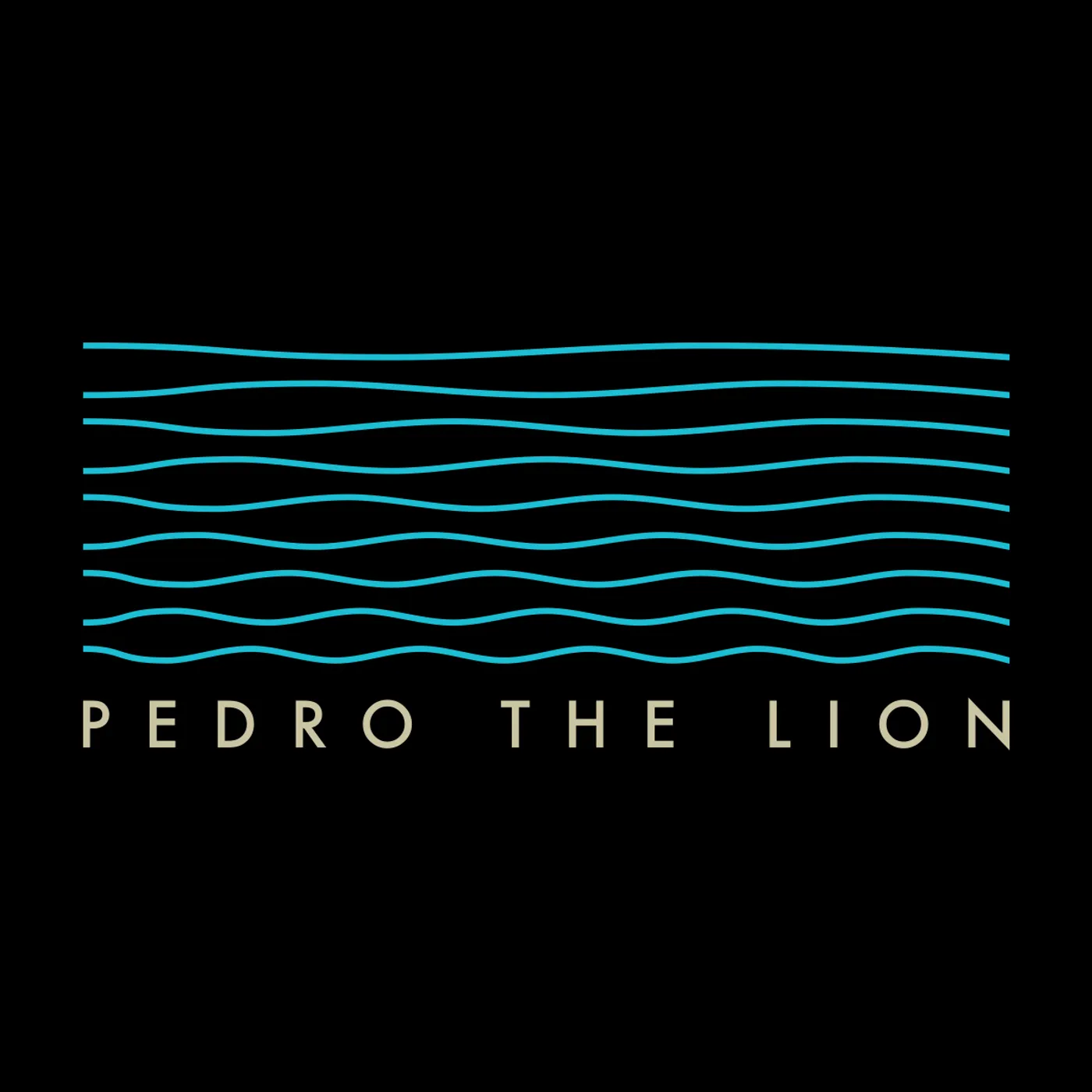Pedro The Lion Sequencer Waves Hooded Sweatshirt