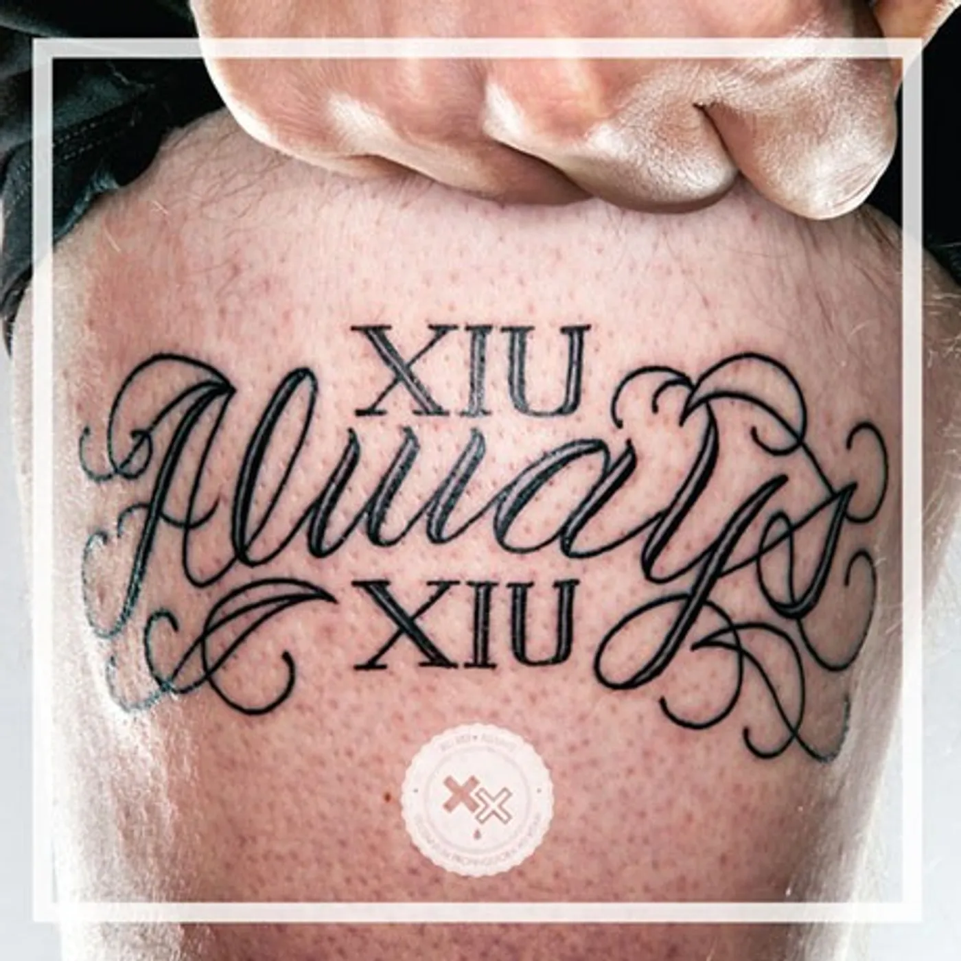 Xiu Xiu Always (Vinyl)