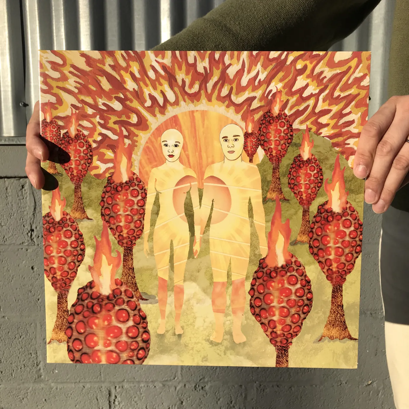 of Montreal The Sunlandic Twins LP Jacket