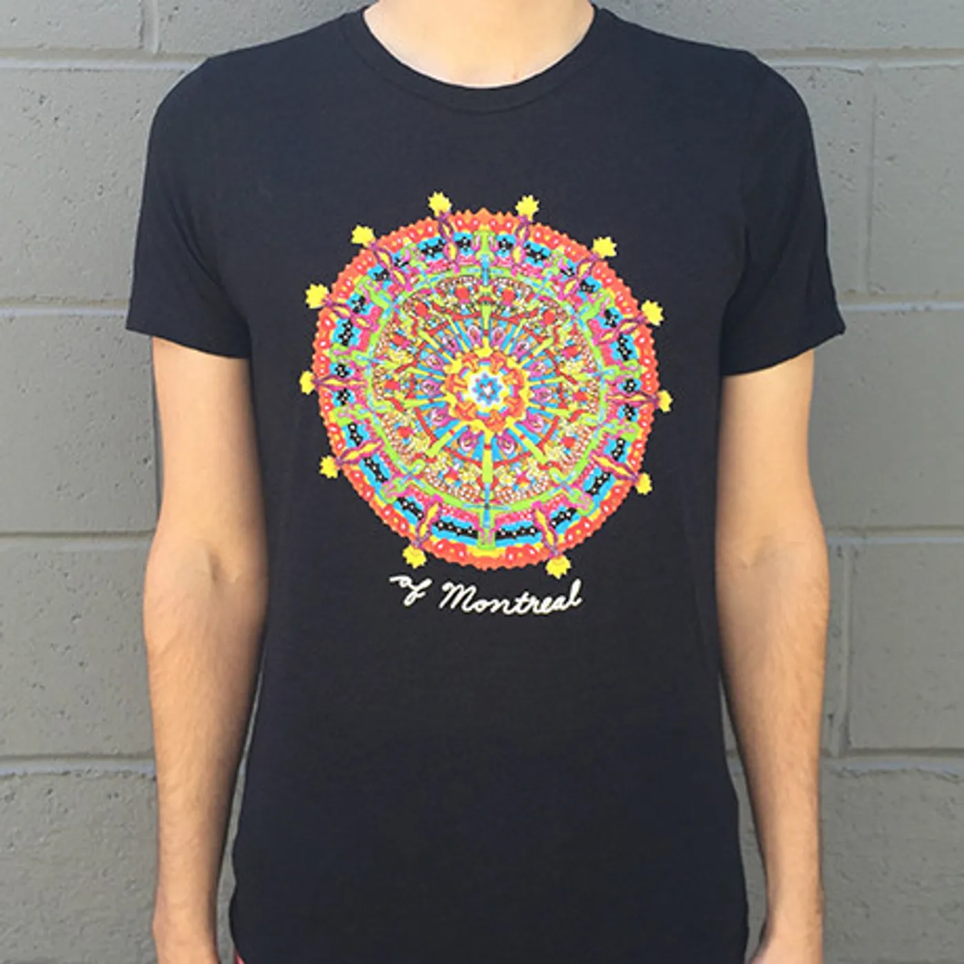 of Montreal Hissing Fauna, Are You the Destroyer? T-Shirt