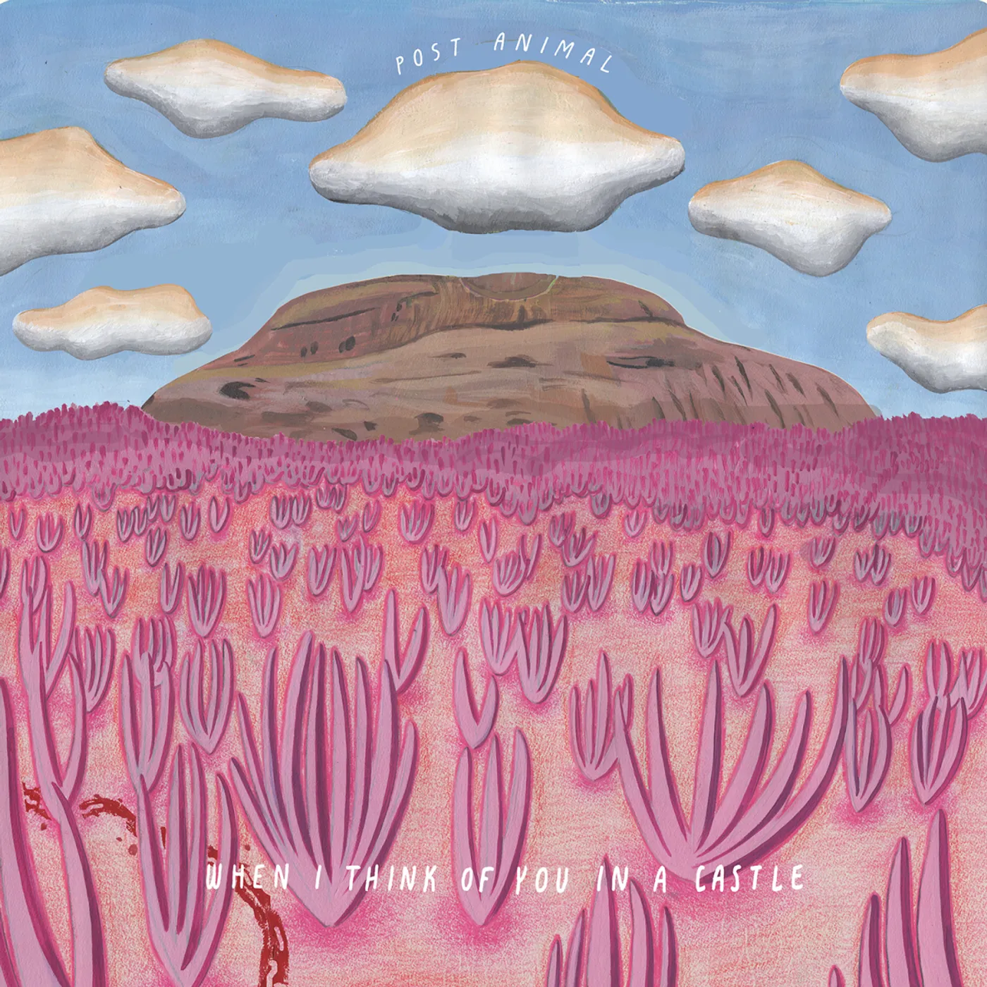 Post Animal When I Think of You in a Castle (2021) (Test Pressing)