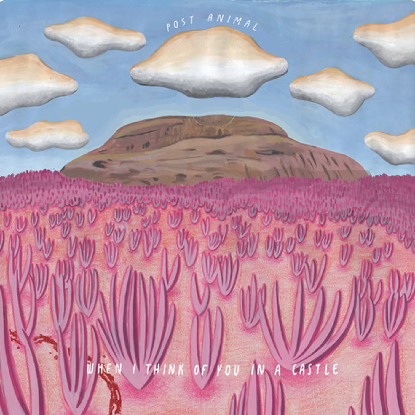 Post Animal When I Think Of You In A Castle (Vinyl)