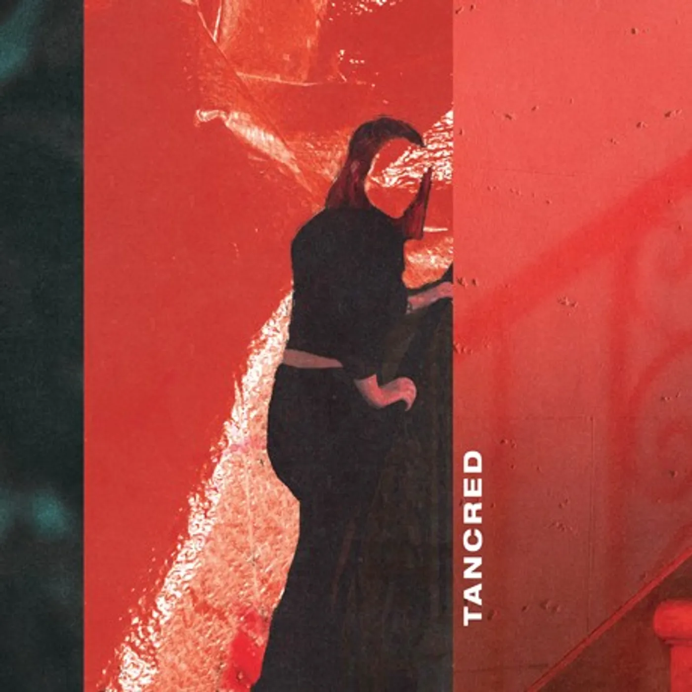 Tancred Bed Case b/w Hounds