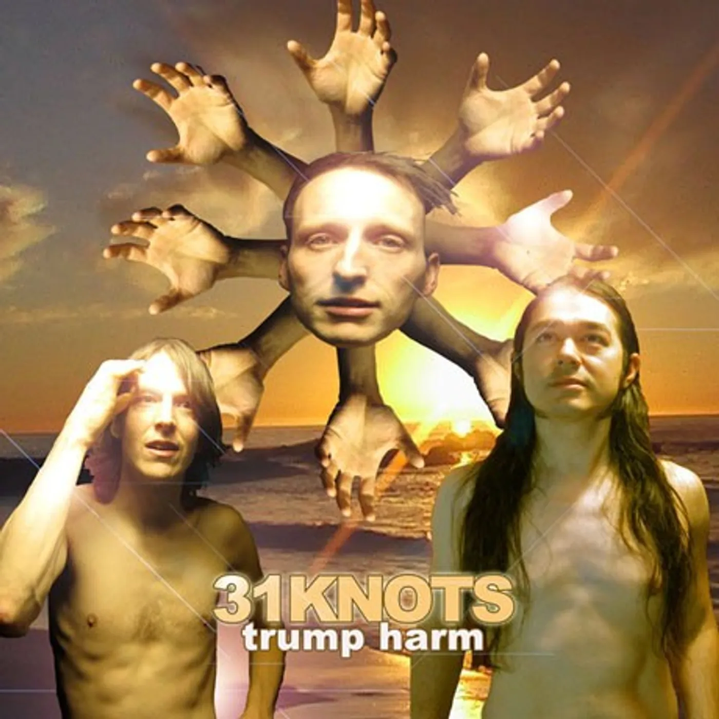31Knots Trump Harm (Vinyl)