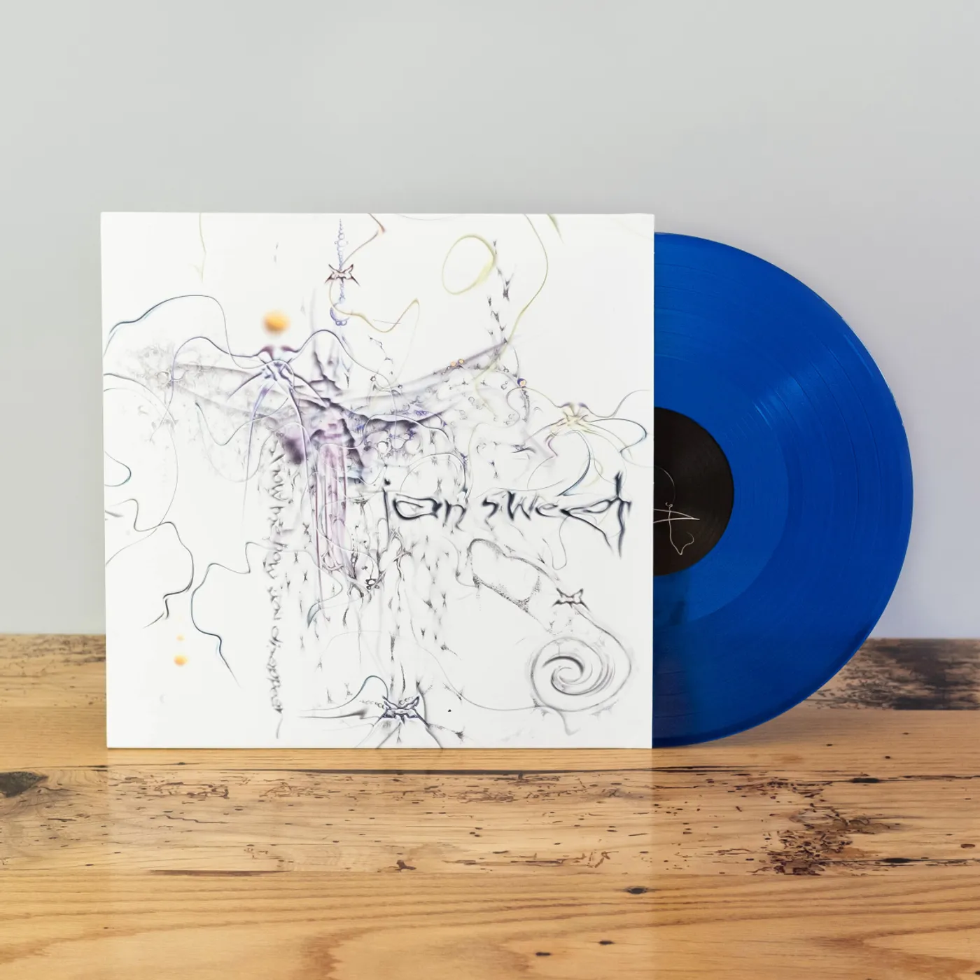 IAN SWEET Show Me How You Disappear