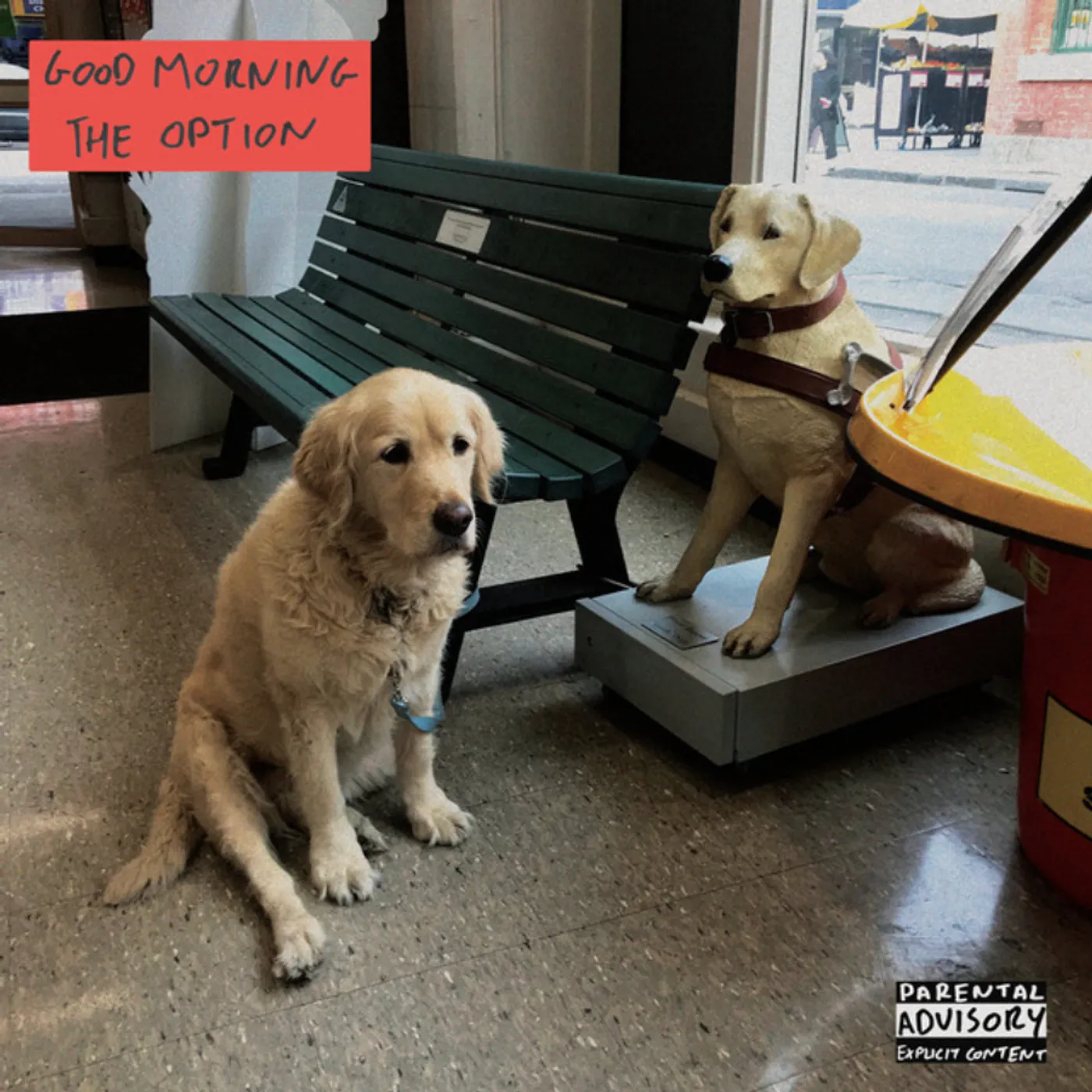 Good Morning The Option