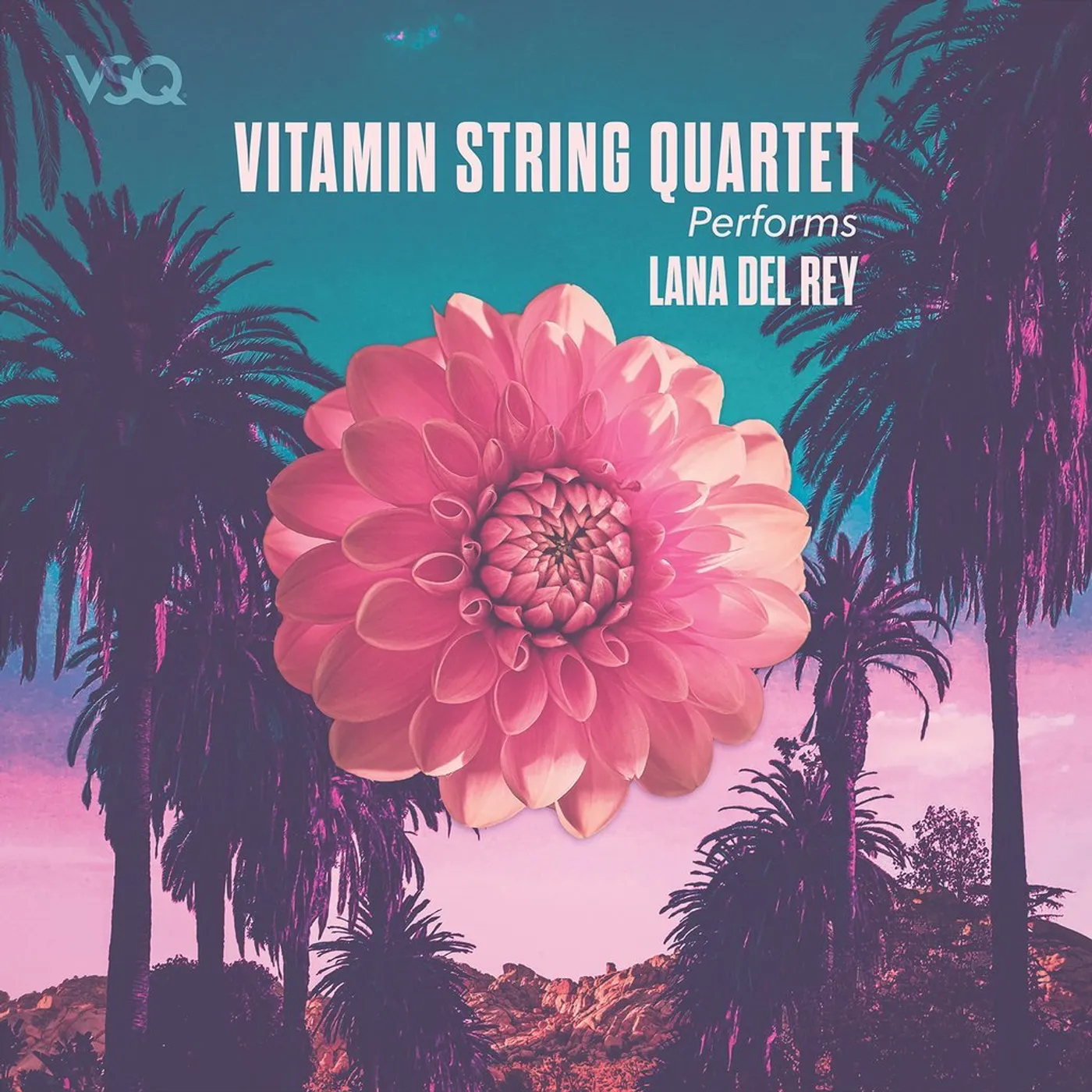 Vitamin String Quartet VSQ Performs Lana Del Rey - LP (Vinyl)