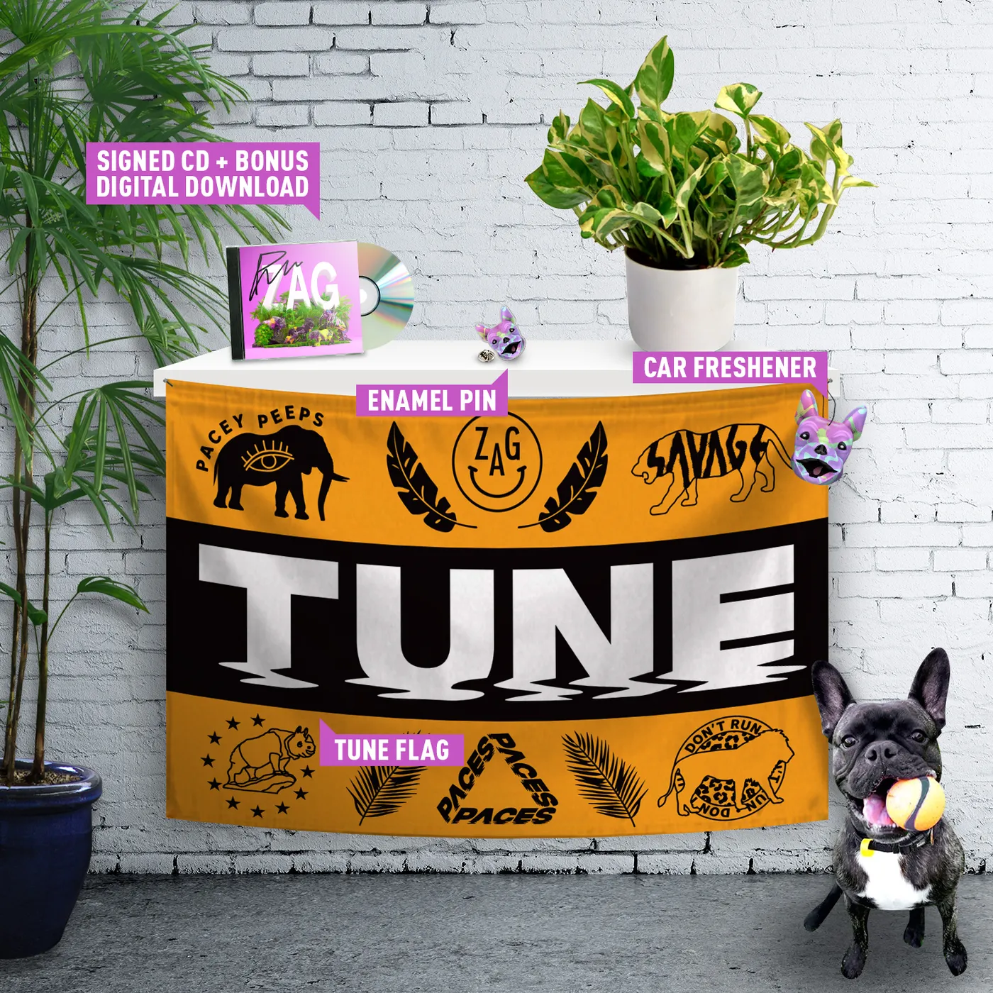 Paces ‘Limited Edition ‘ZAG’ Party Pack’