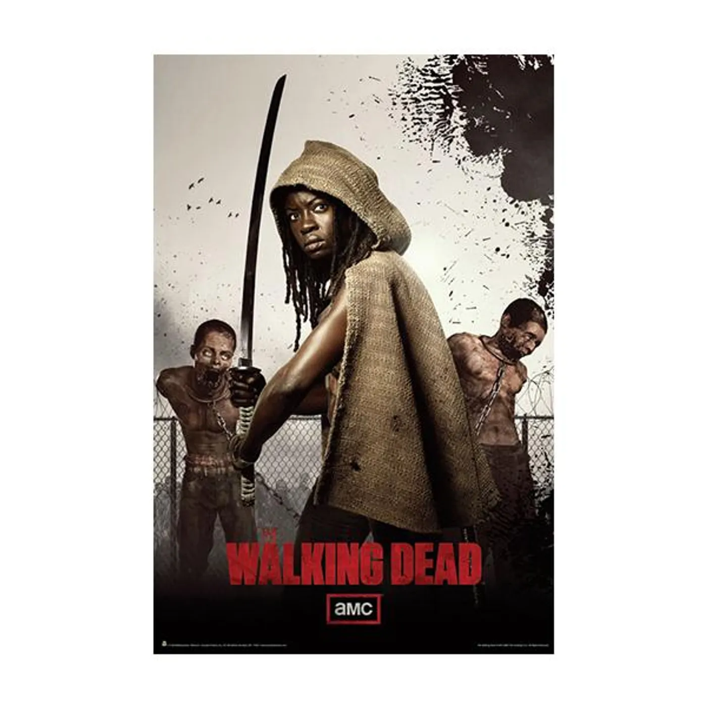 The Walking Dead "Season Three Michonne Teaser" Posters