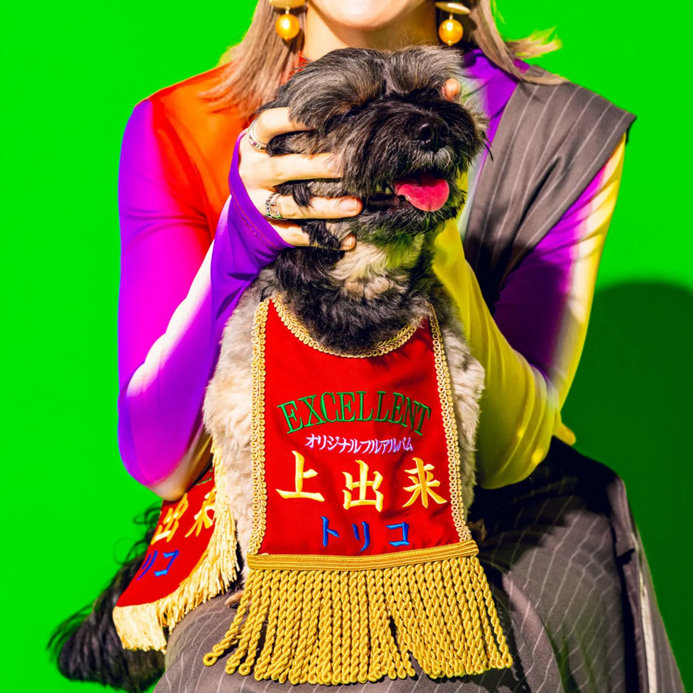 tricot 上出来(2CD+DVD)