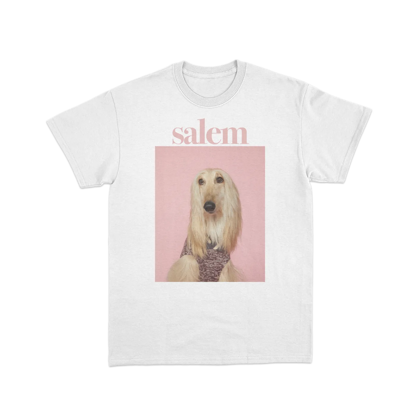 salem ilese Dog T-Shirt