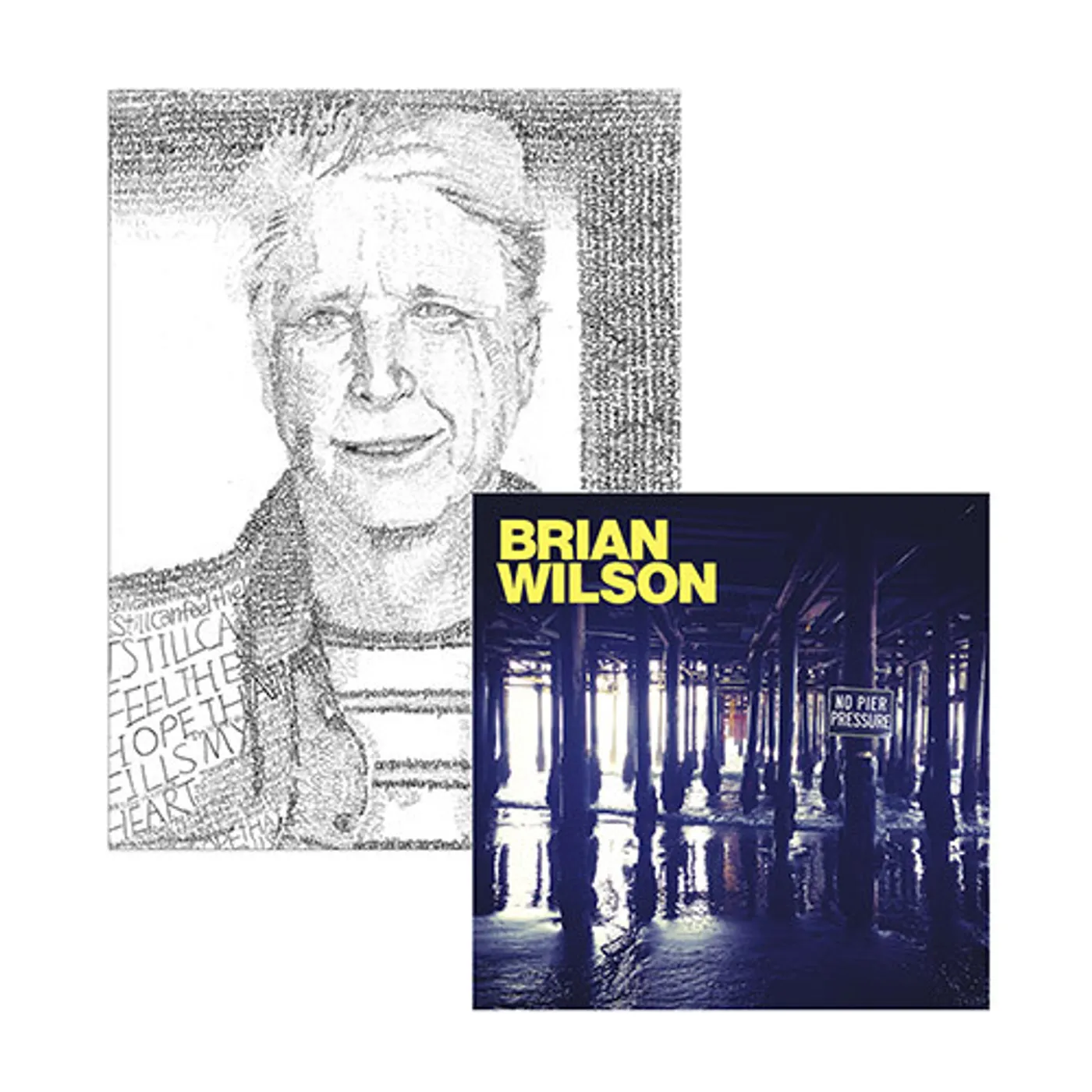 Brian Wilson Hand Signed!  No Pier Pressure 2 LP Vinyl, Lithograph & Digital Album