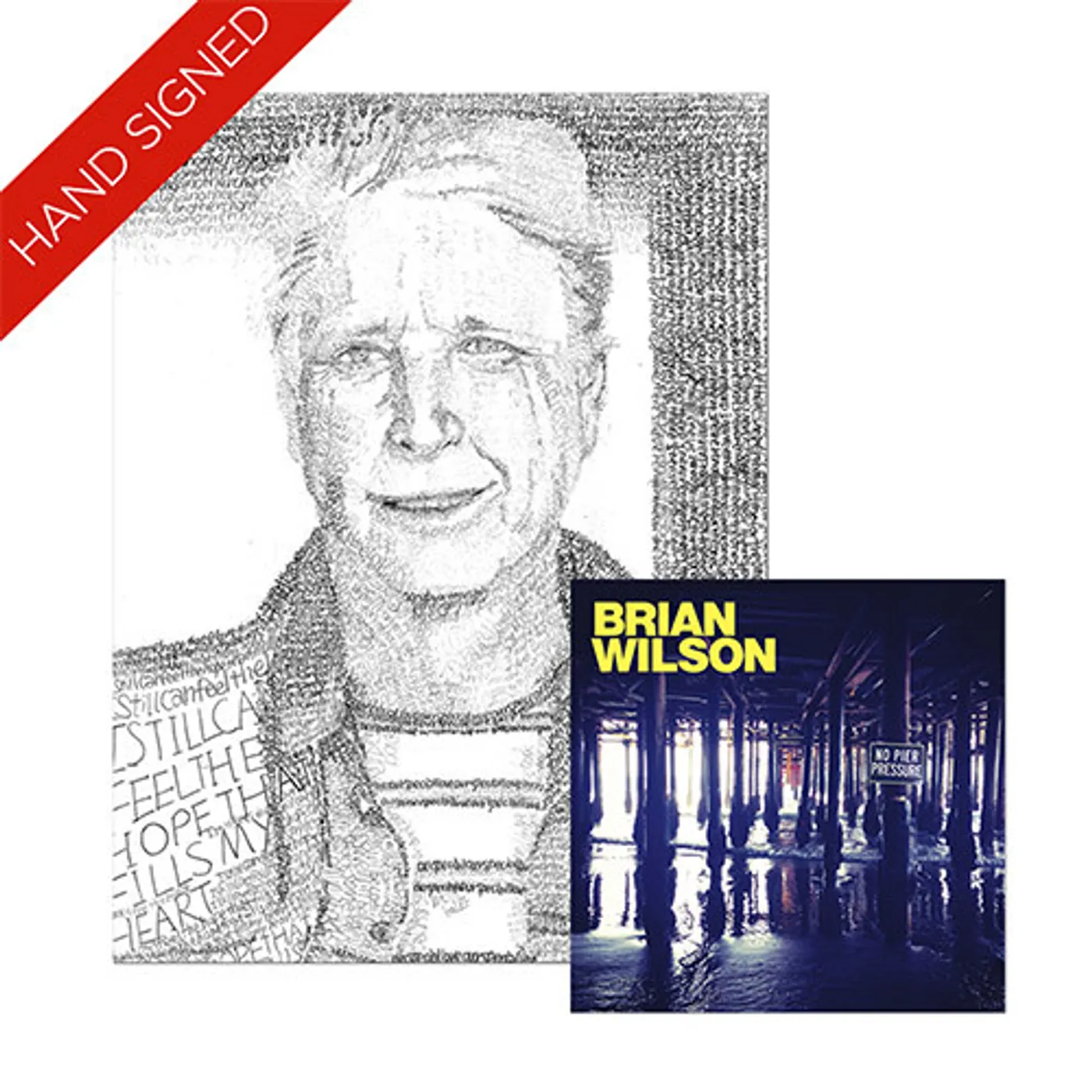 Brian Wilson Hand Signed!  No Pier Pressure 2 LP Vinyl & Lithograph