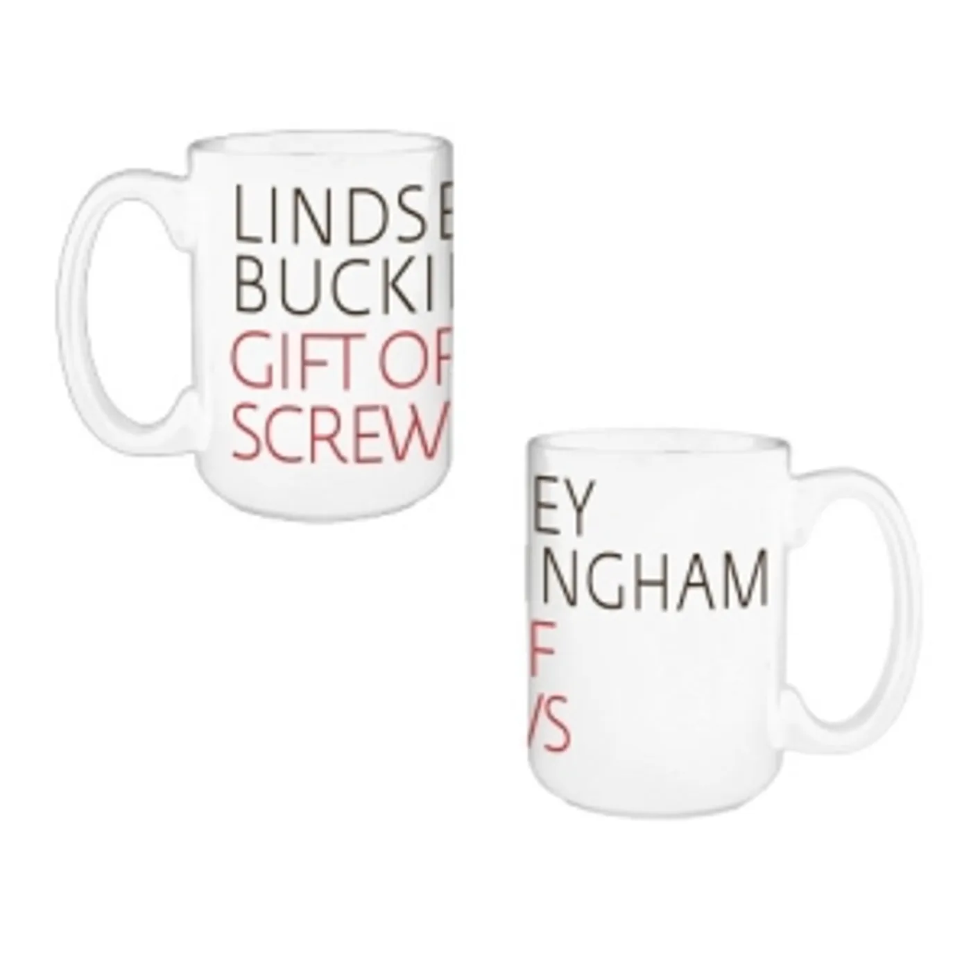Lindsey Buckingham Gift Of Screws Mug