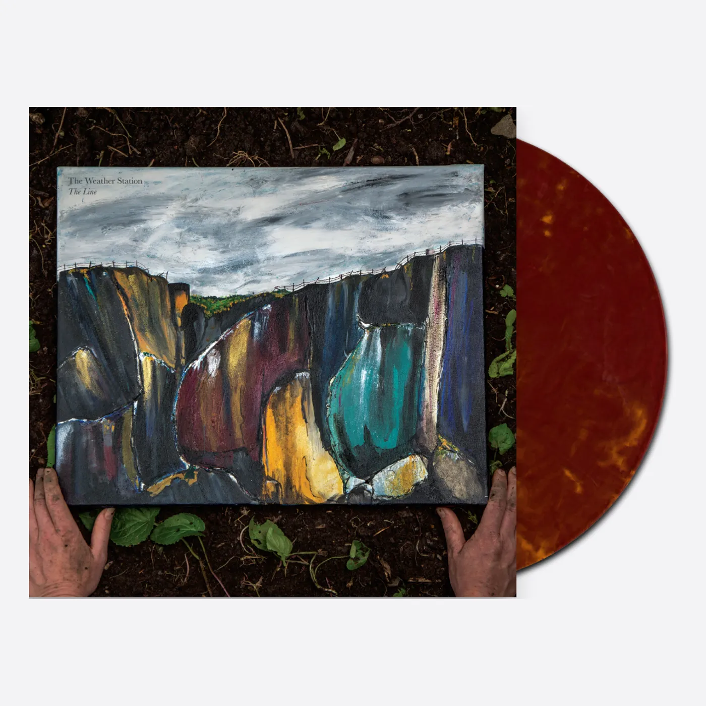 The Presidents Of The United States Of America The Line (Vinyl)