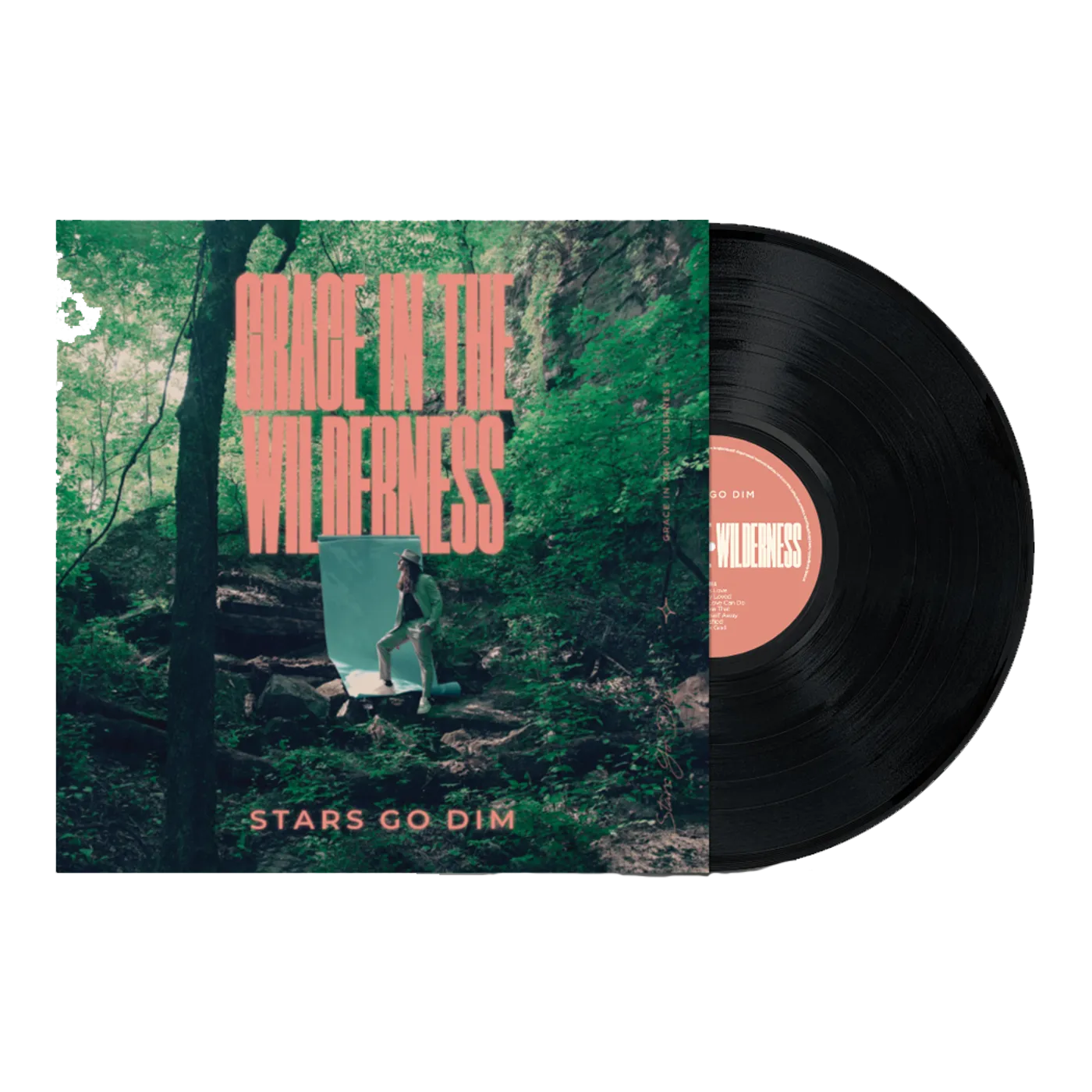 Stars Go Dim Grace In The Wilderness - Vinyl