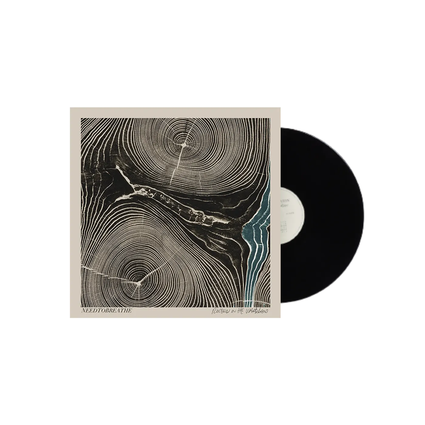 NEEDTOBREATHE Rivers In the Wasteland - Vinyl