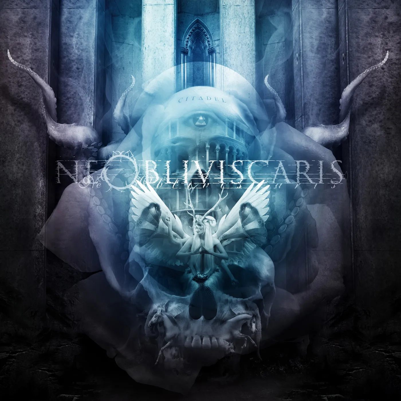 Ne Obliviscaris Citadel Vinyl