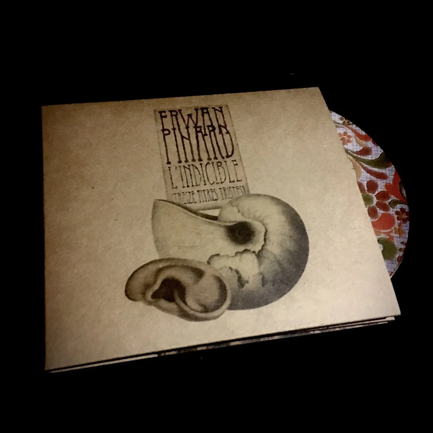 Erwan Pinard : L'indicible