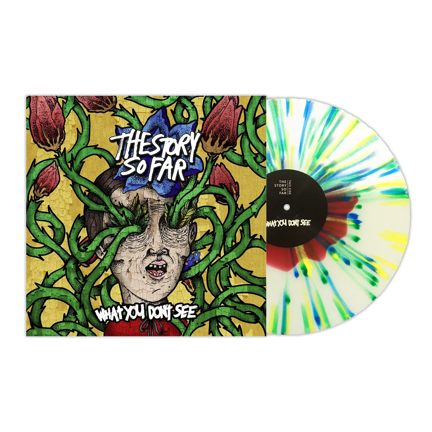The Story So Far - "What You Don't See" LP (Vinyl)