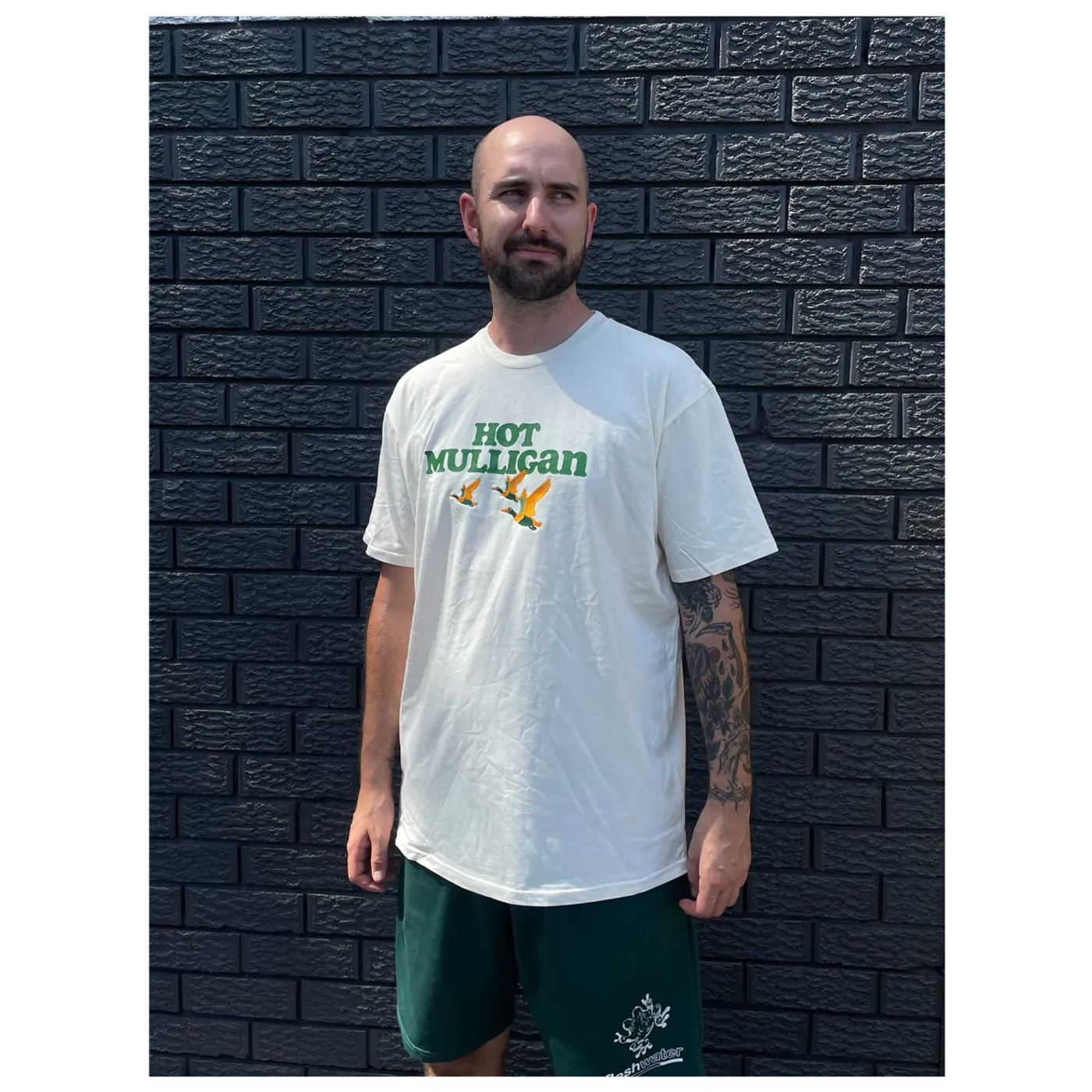 Hot Mulligan "Ducks" T-Shirt