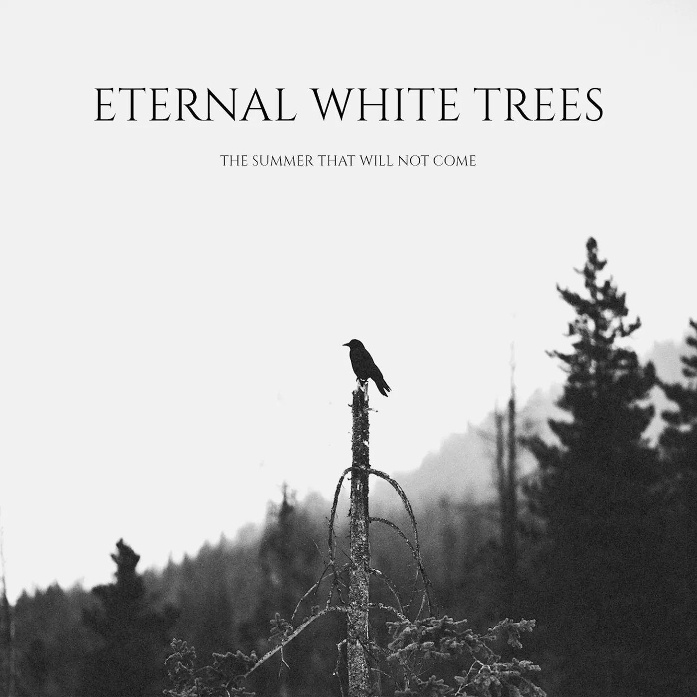 Eternal White Trees The Summer That Will Not Come CD