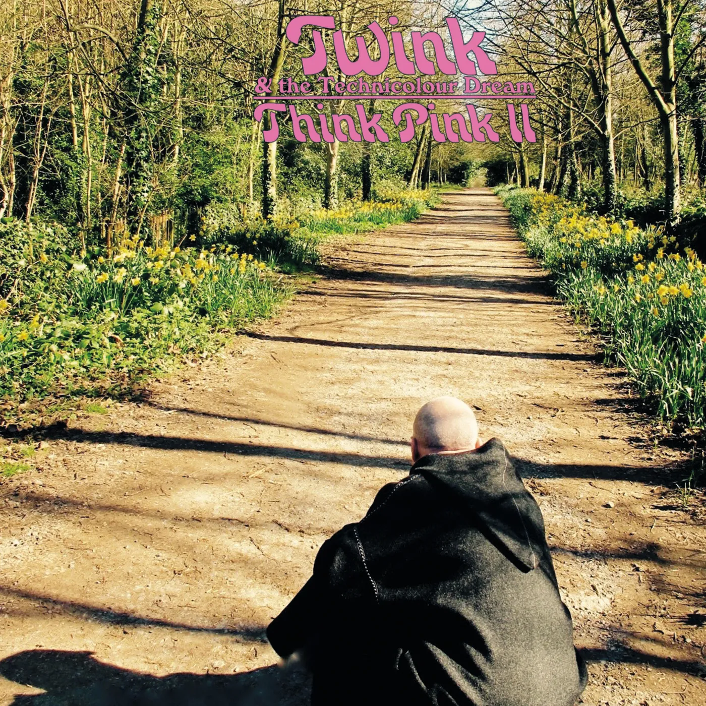 Twink   Think Pink Ii CD