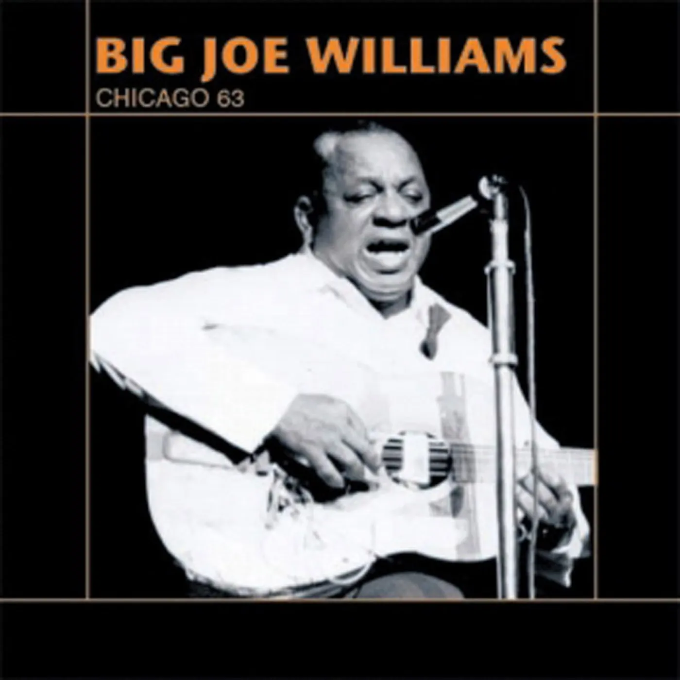 Big Joe Williams: Chicago 63 Vinyl Record