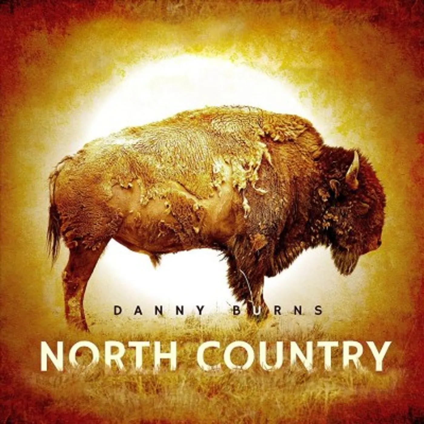 Danny Burns NORTH COUNTRY CD