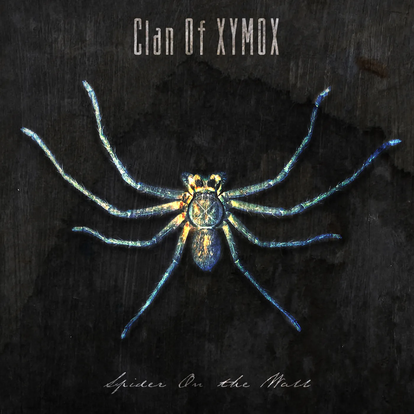 Clan of Xymox SPIDER ON THE WALL CD