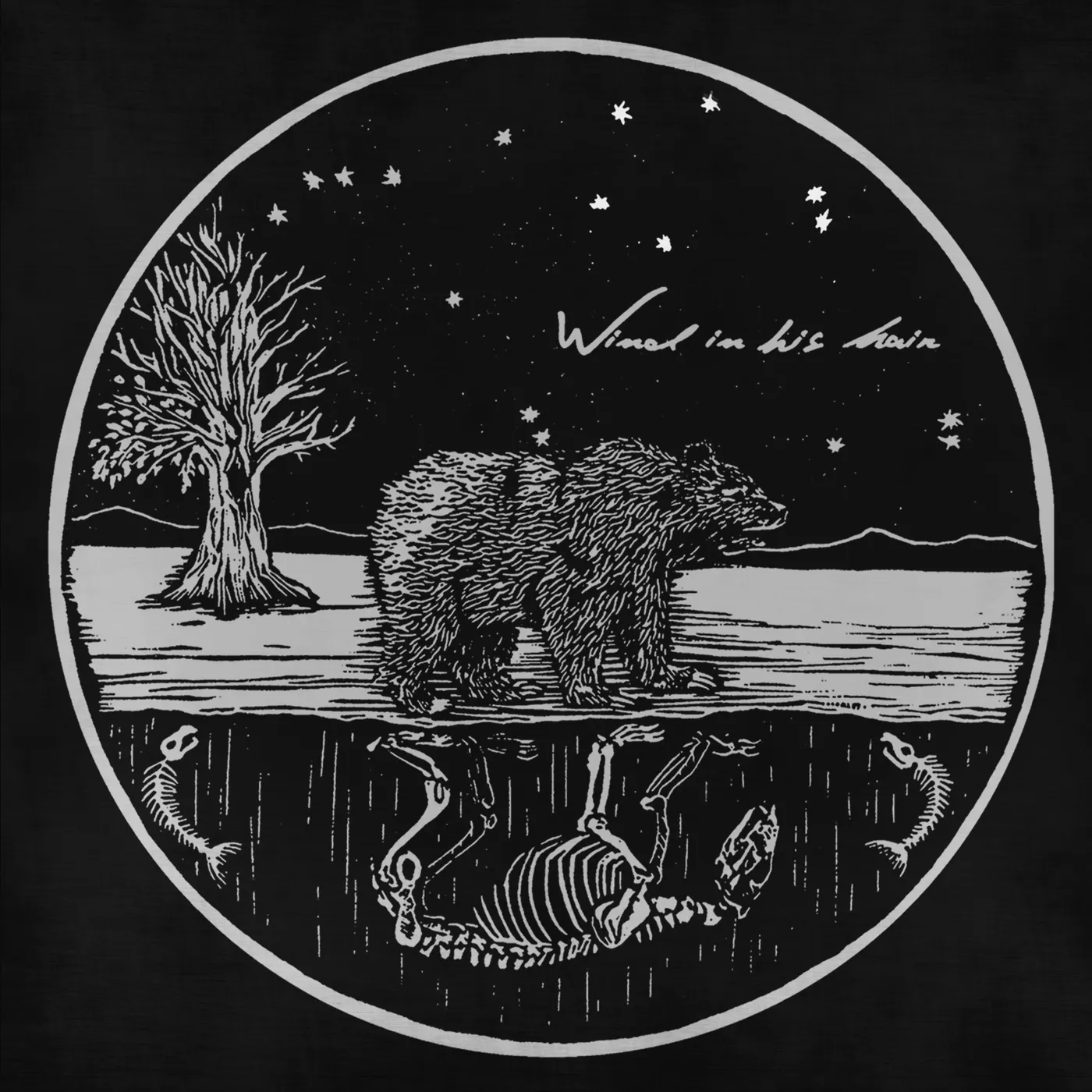 Wind In His Hair Future Primitives CD