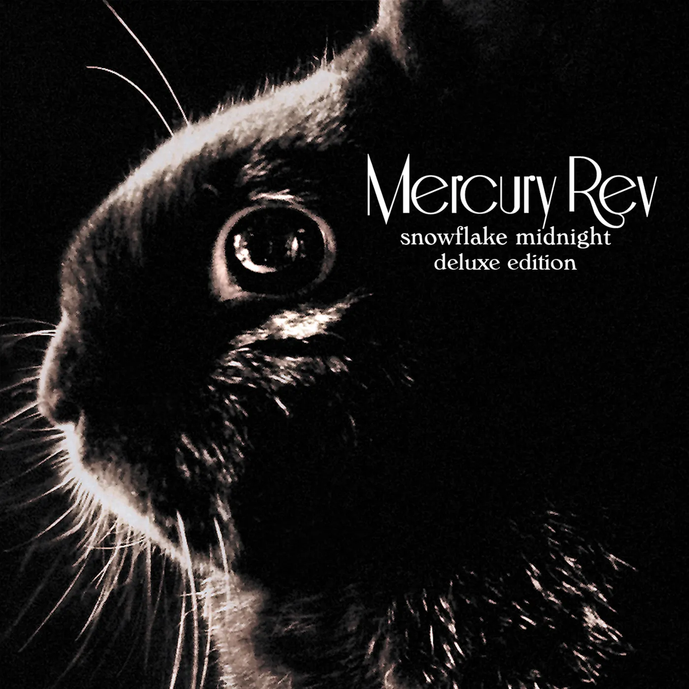 Mercury Rev Snowflake Midnight: 5 Cd Deluxe Edition CD
