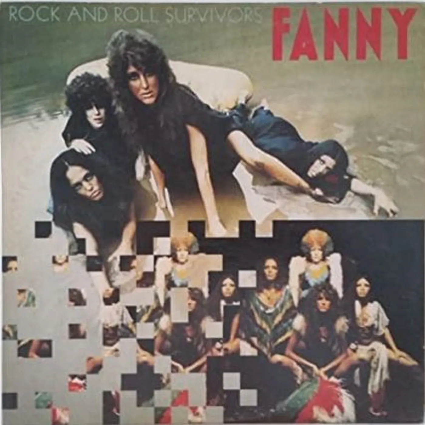 Fanny Rock And Roll Survivors CD