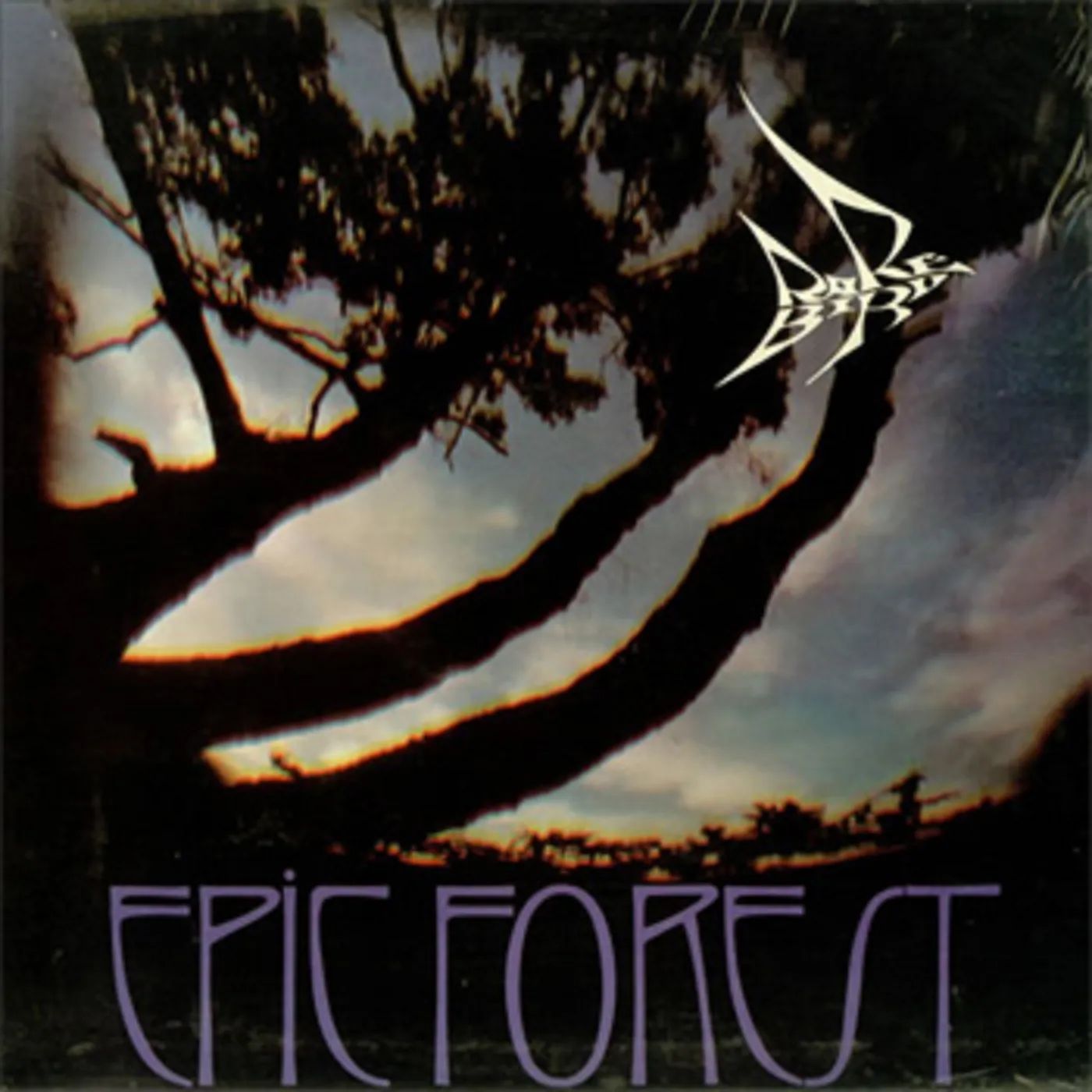 Rare Bird Epic Forest CD