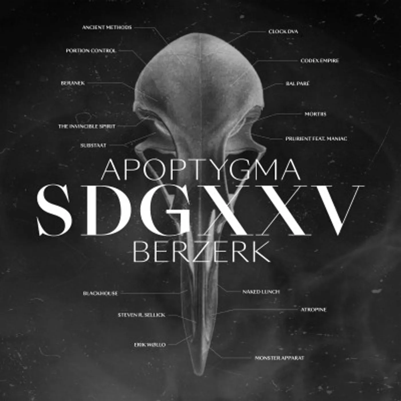 Apoptygma Berzerk SDGXXV Vinyl Record