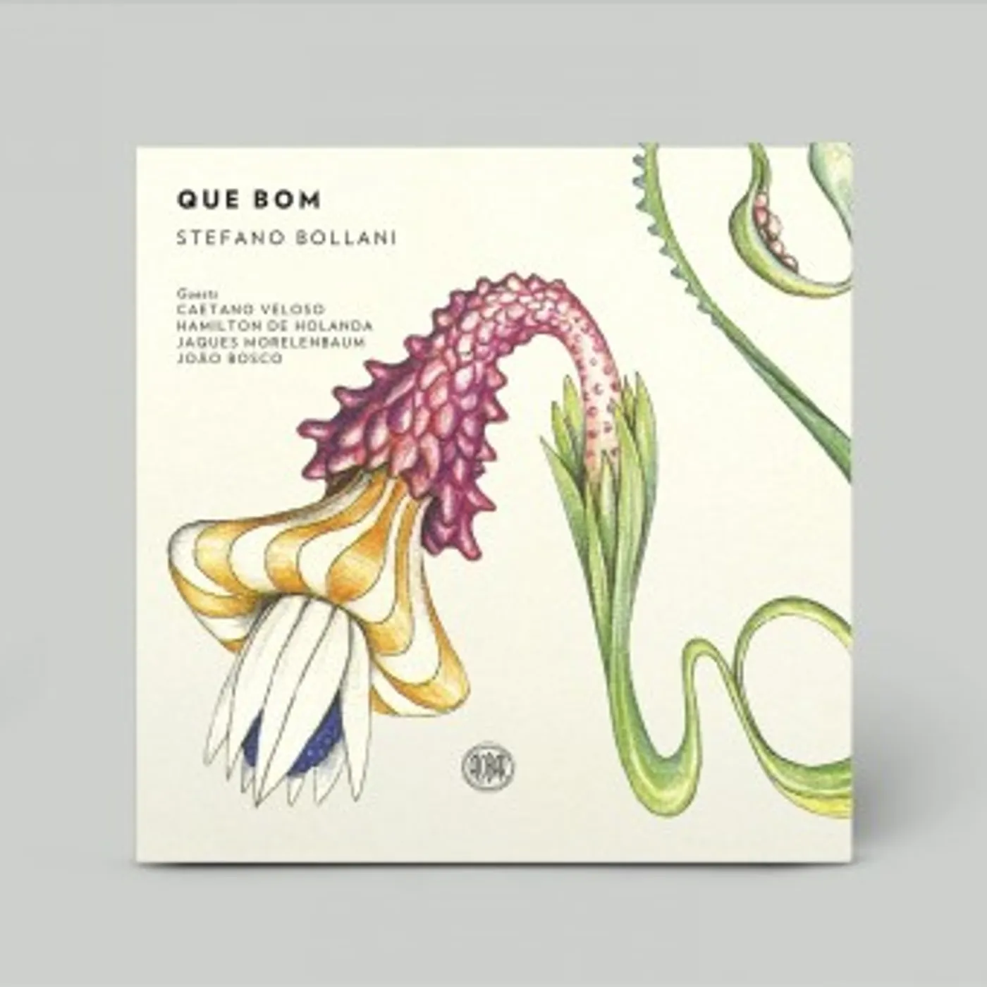 Stefano Bollani Que Bom Vinyl Record