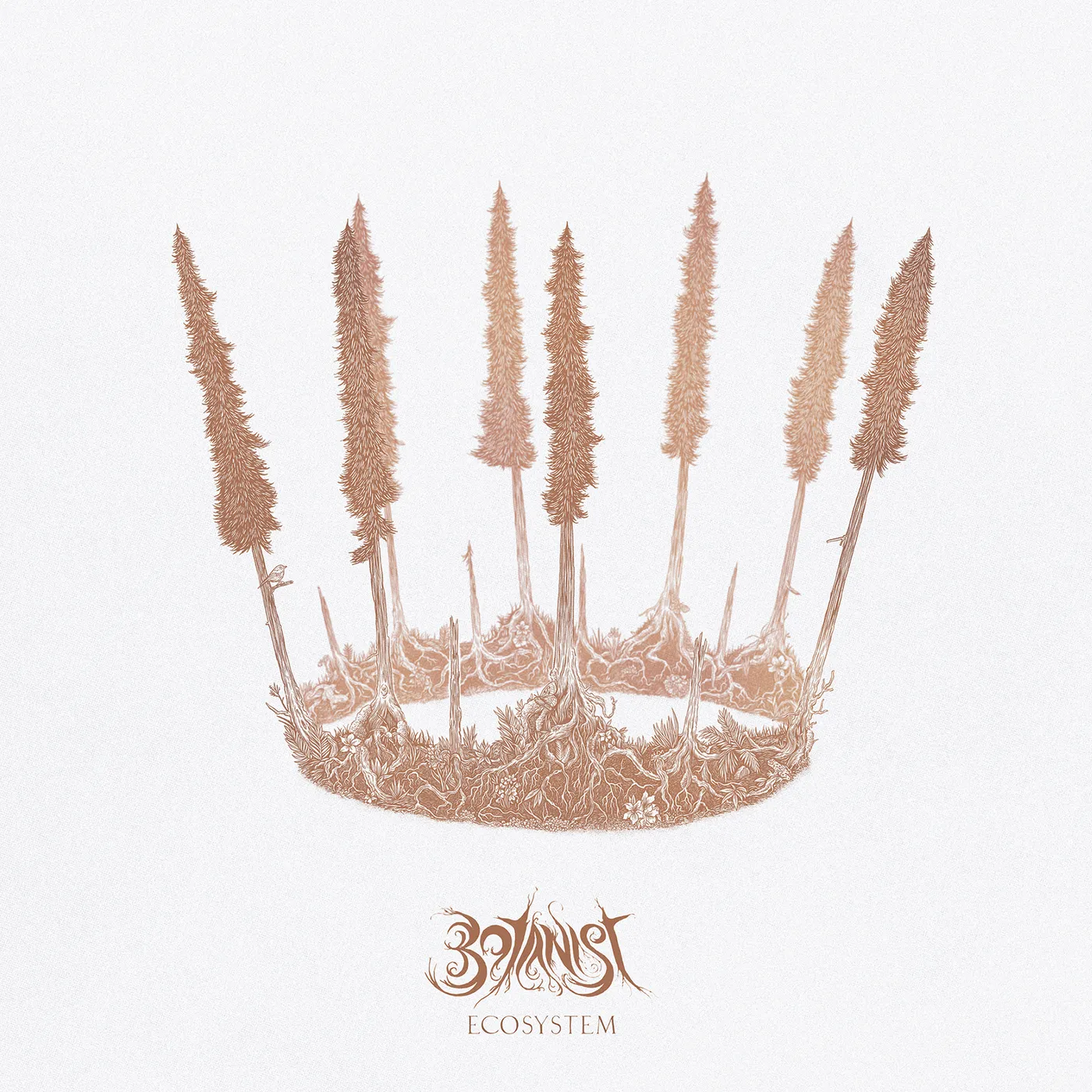 Botanist Ecosystem Vinyl Record