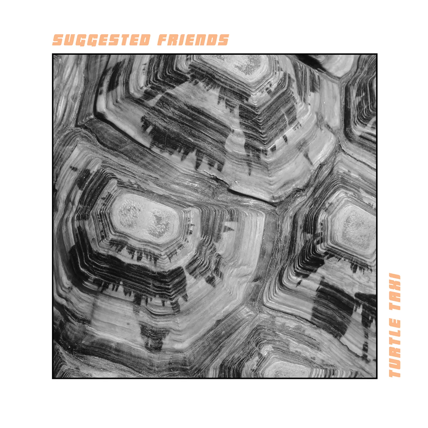 Suggested Friends Turtle Taxi Vinyl Record