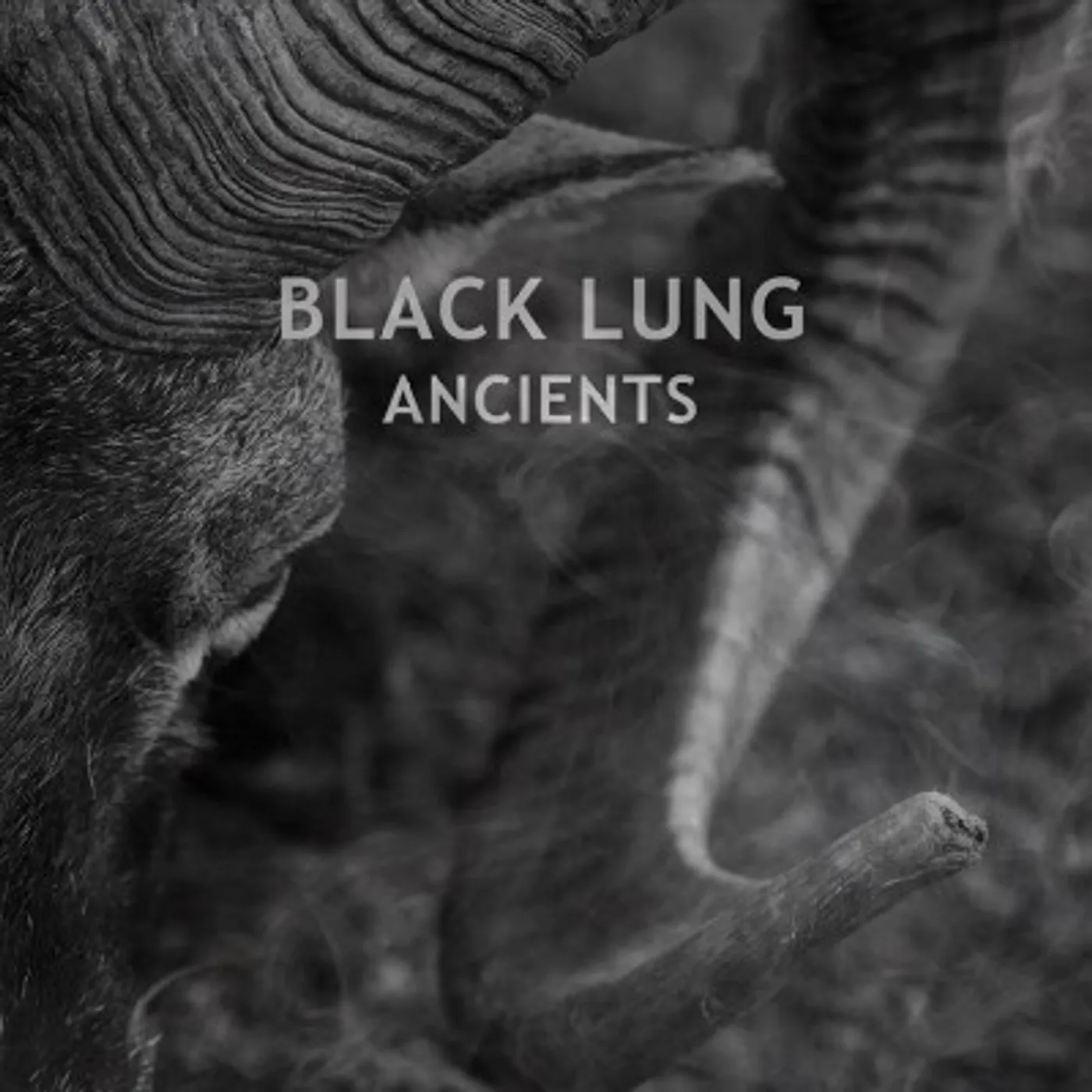 Black Lung Ancients Vinyl Record