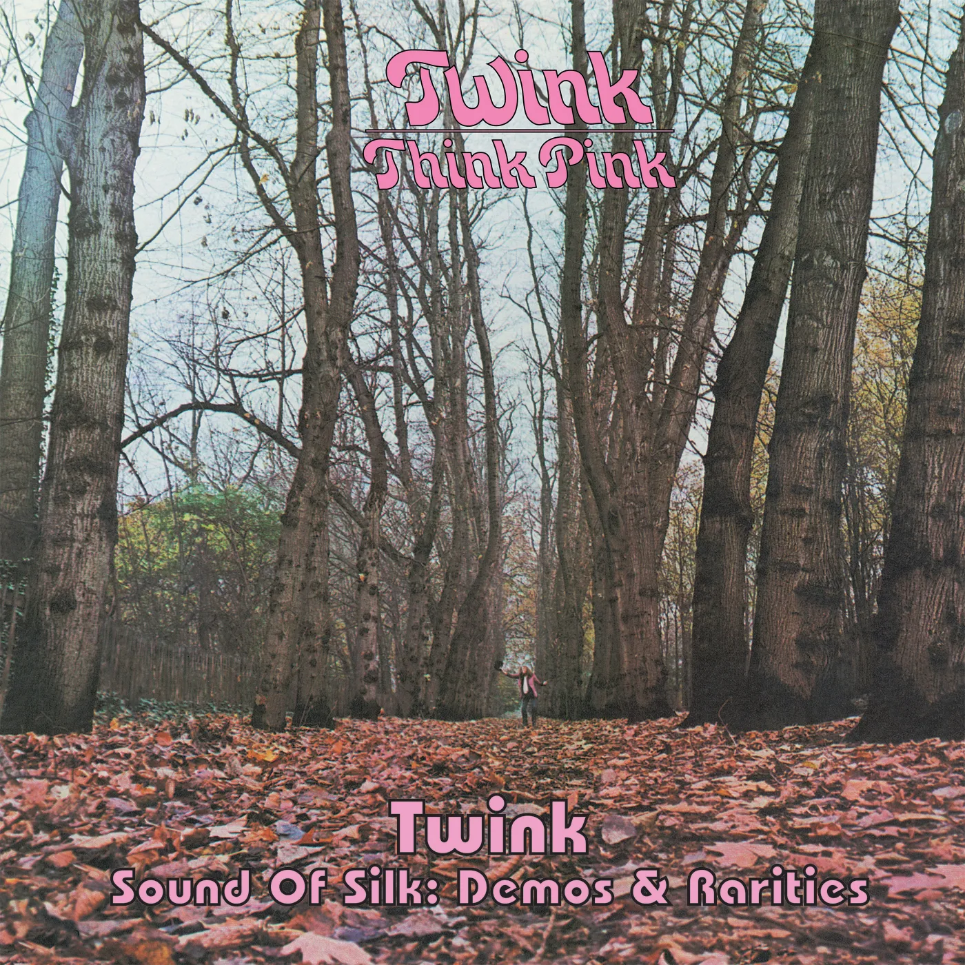 Twink Think Pink Vinyl Record