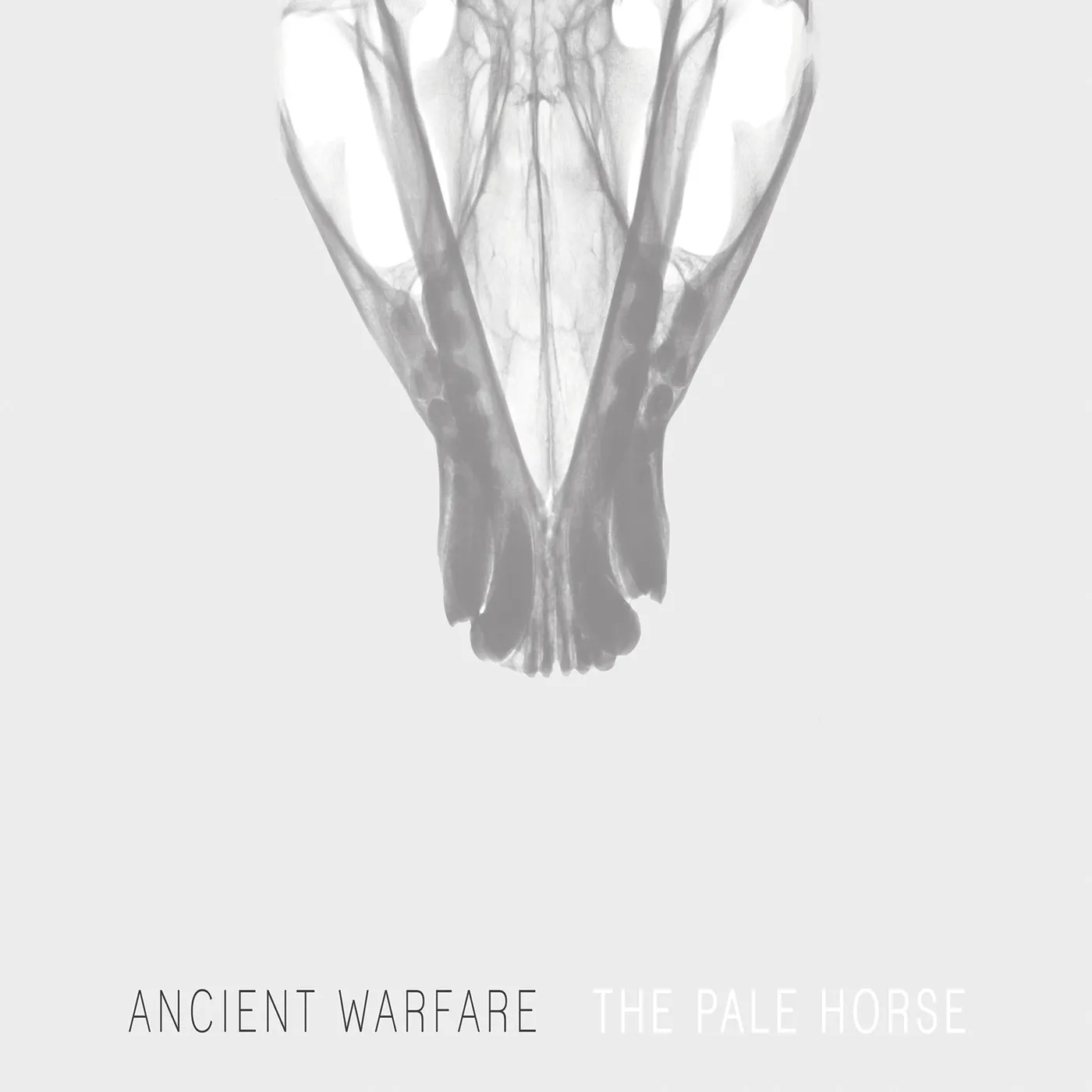 Ancient Warfare Pale Horse Vinyl Record