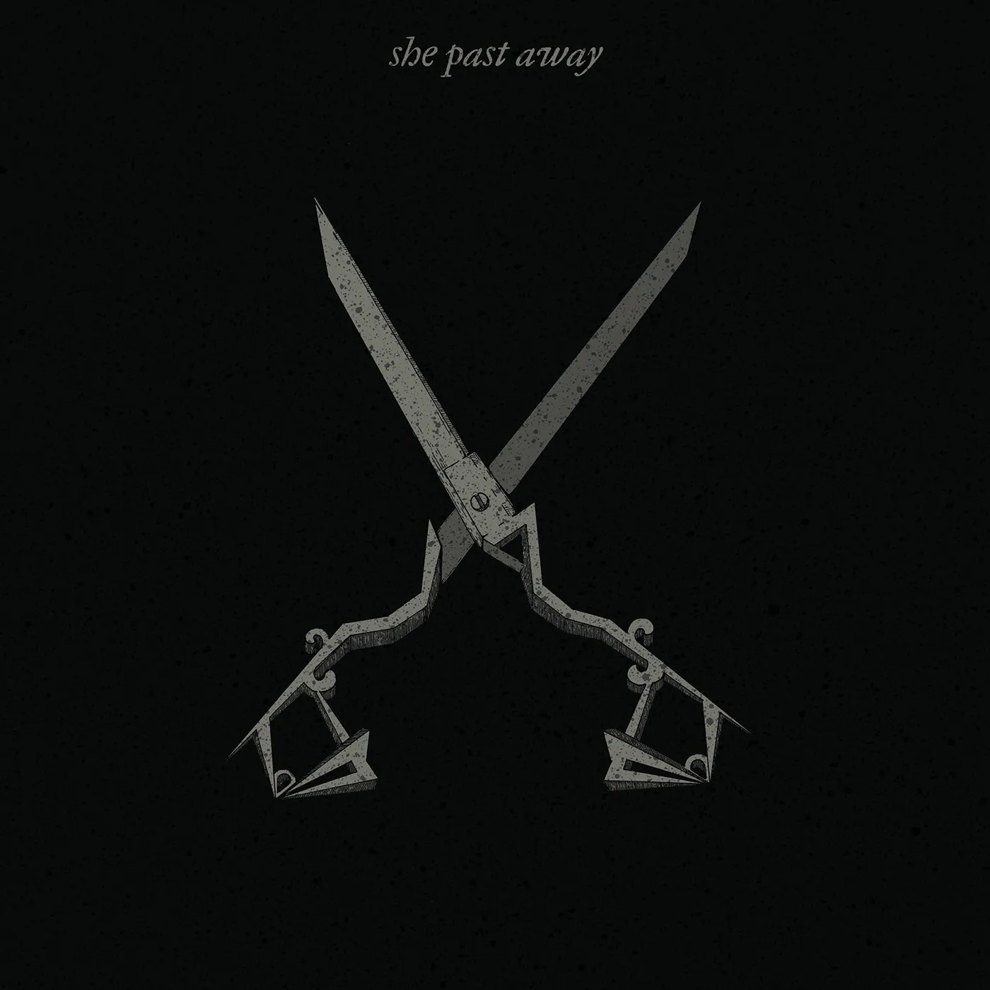 She Past Away X Vinyl Record