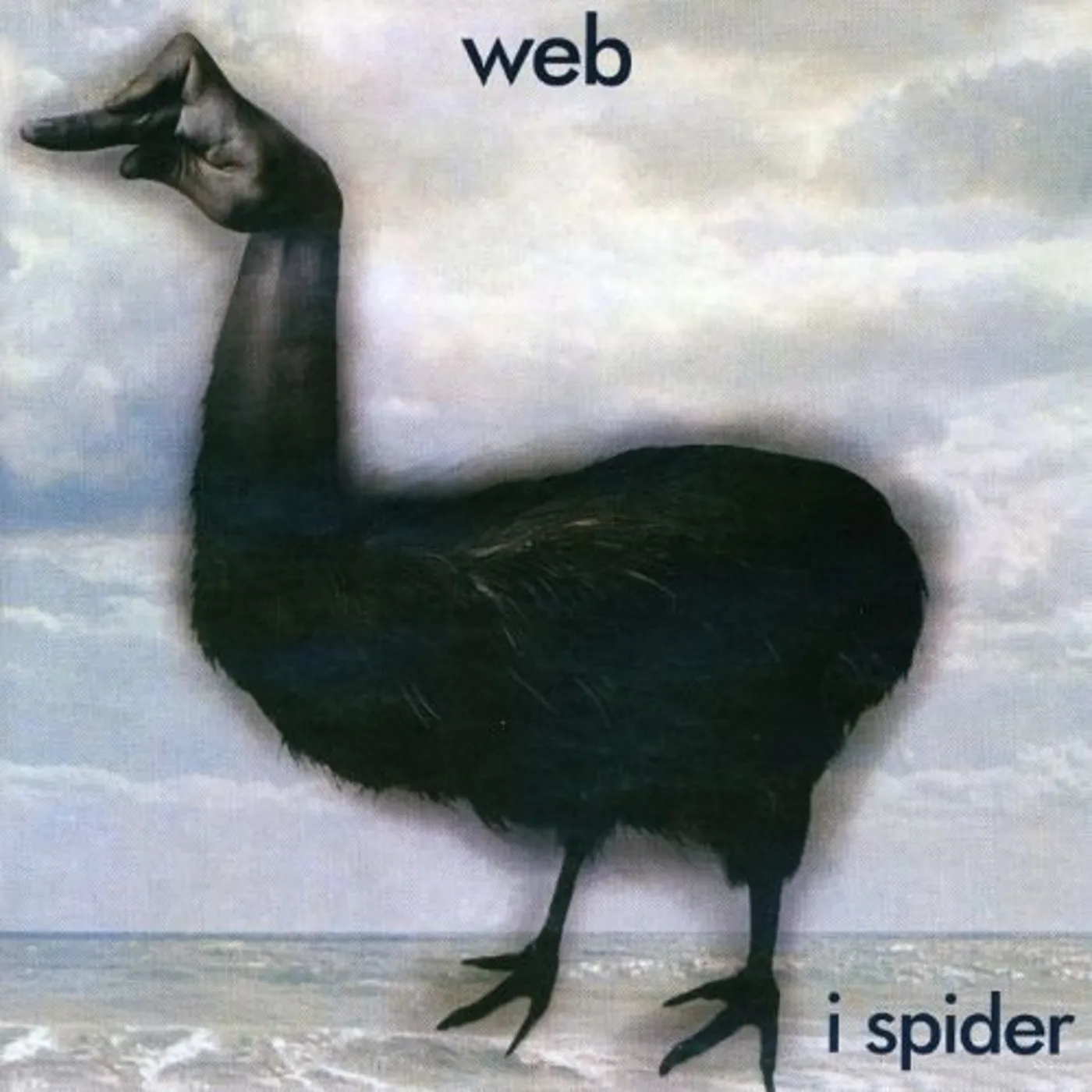 Web I Spider Vinyl Record
