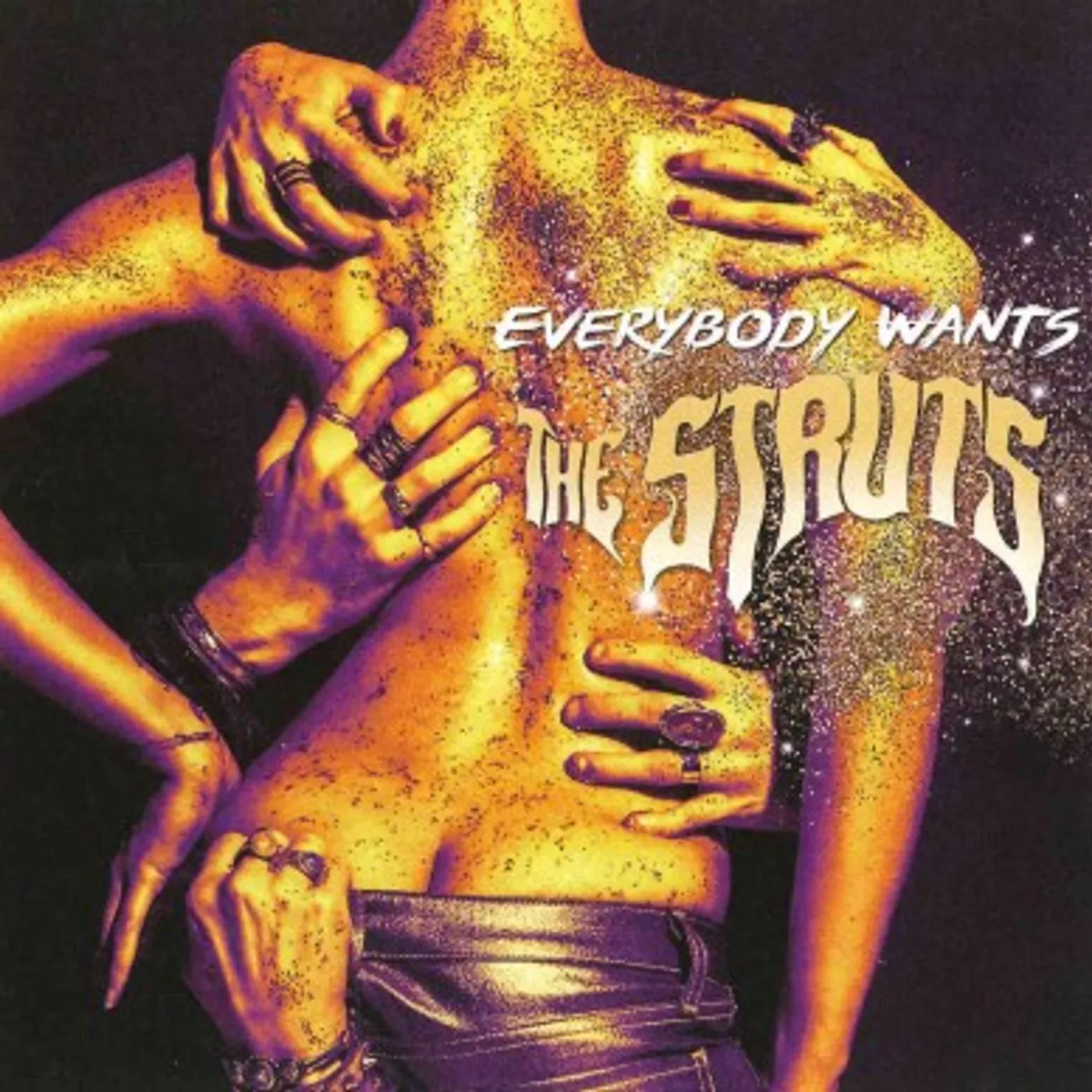 The Struts EVERYBODY WANTS CD