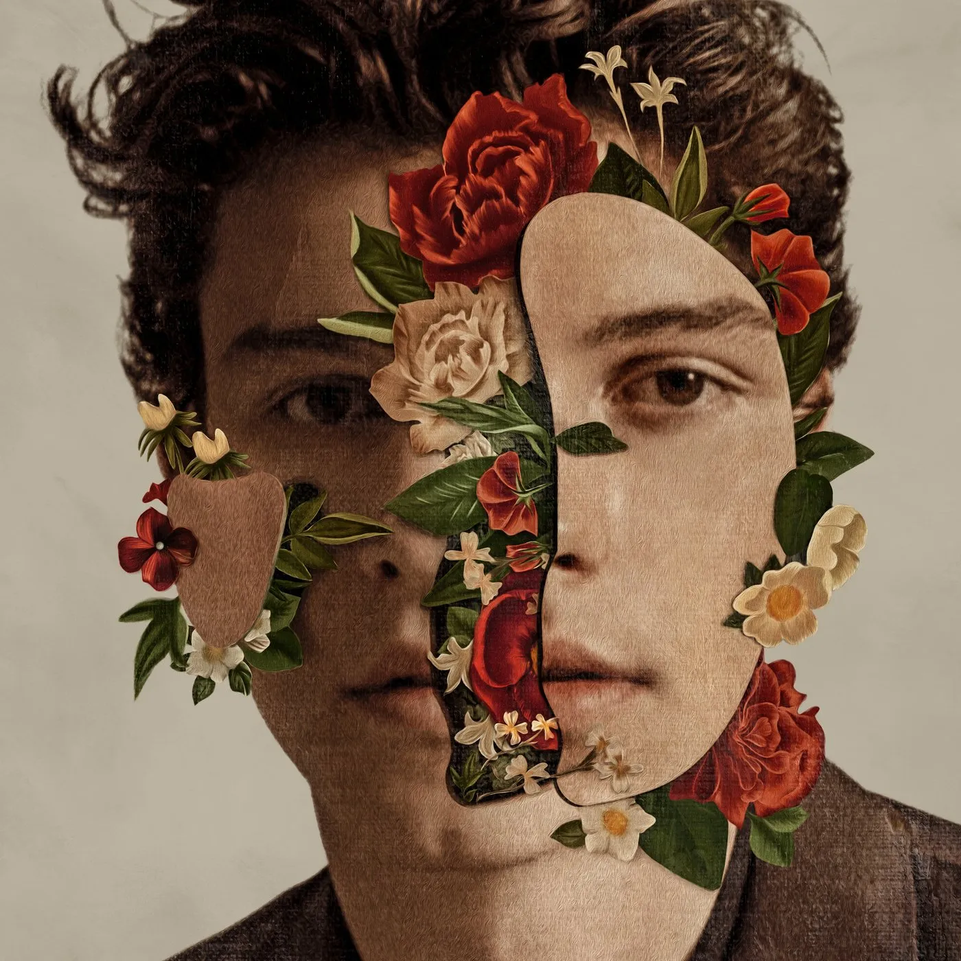 SHAWN MENDES CD