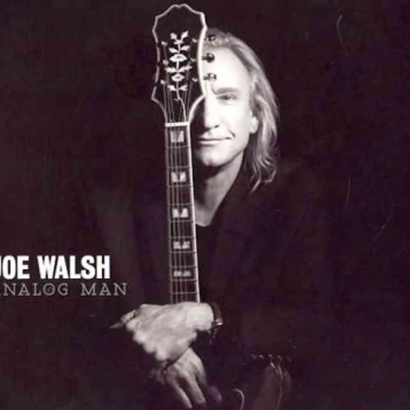 Joe Walsh ANALOG MAN CD