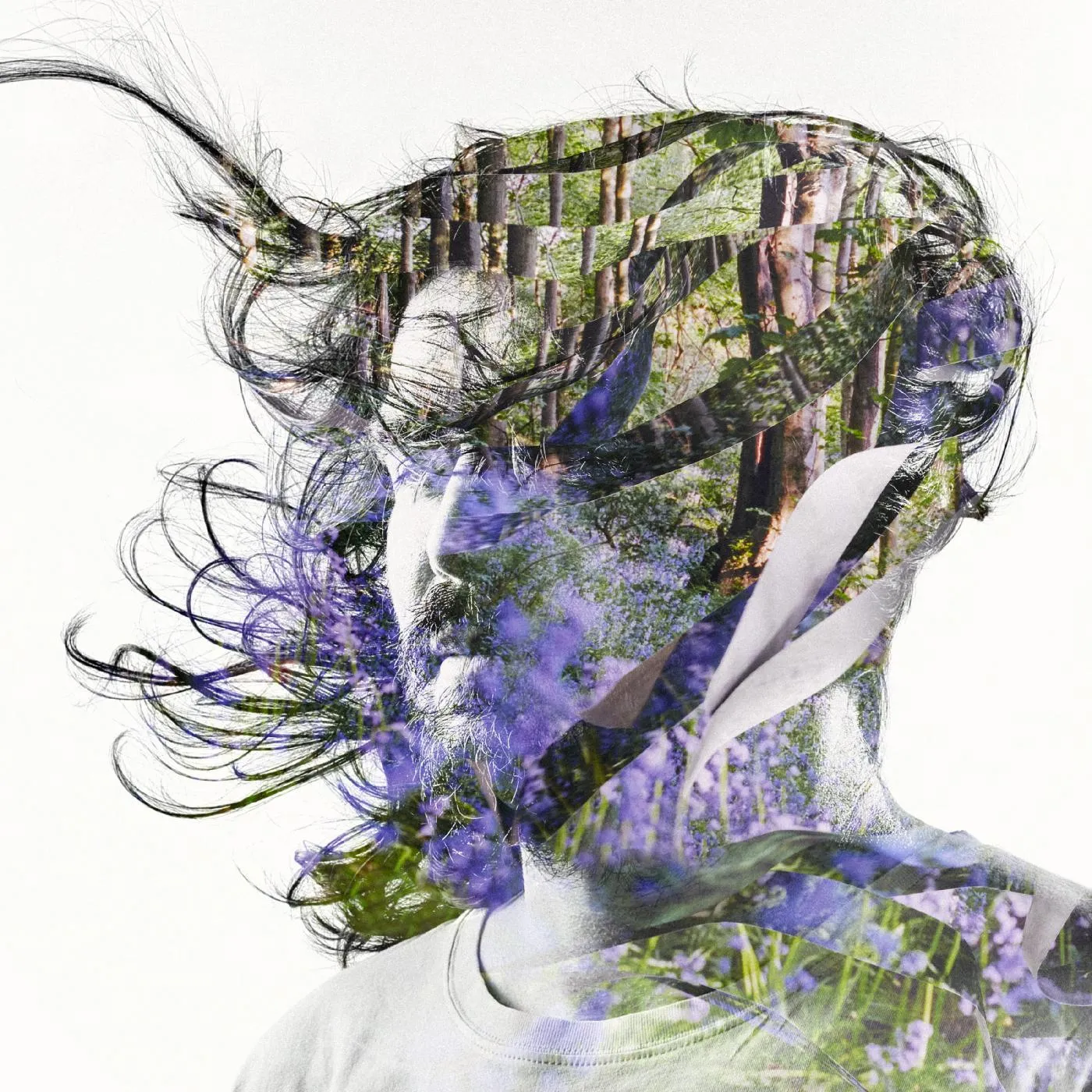 Bibio RIBBONS CD