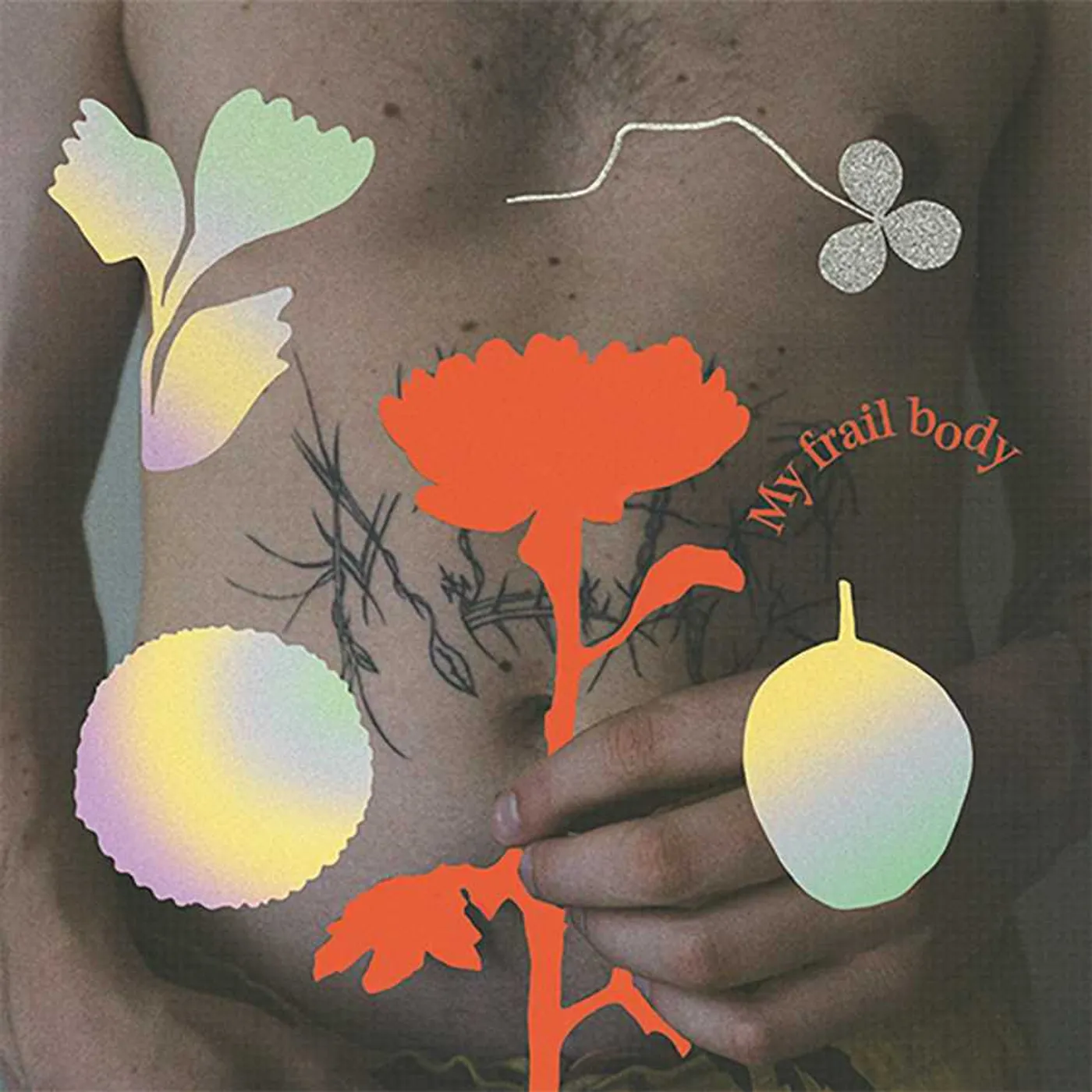 Gundelach MY FRAIL BODY CD
