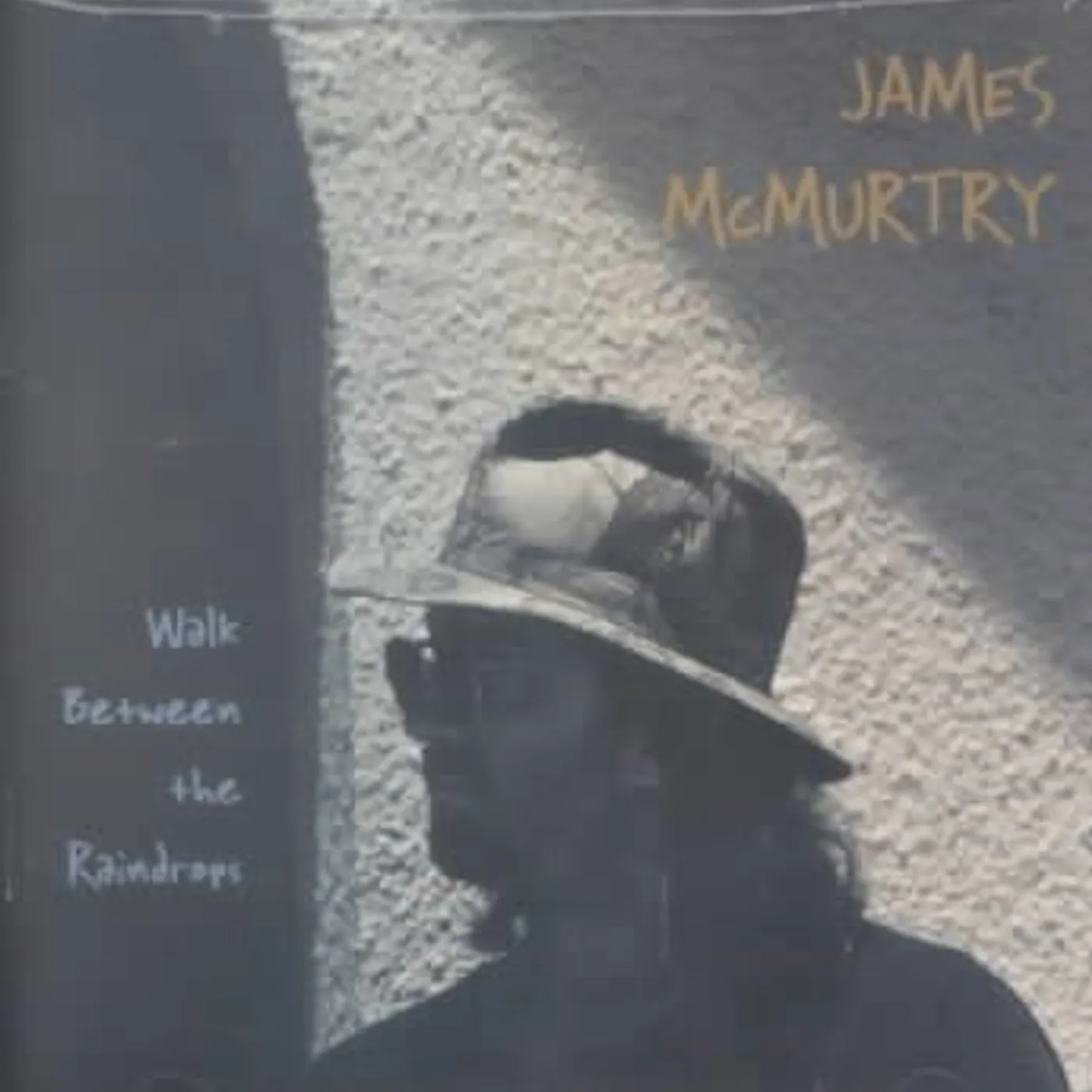 James McMurtry Walk Between The Raindrops CD